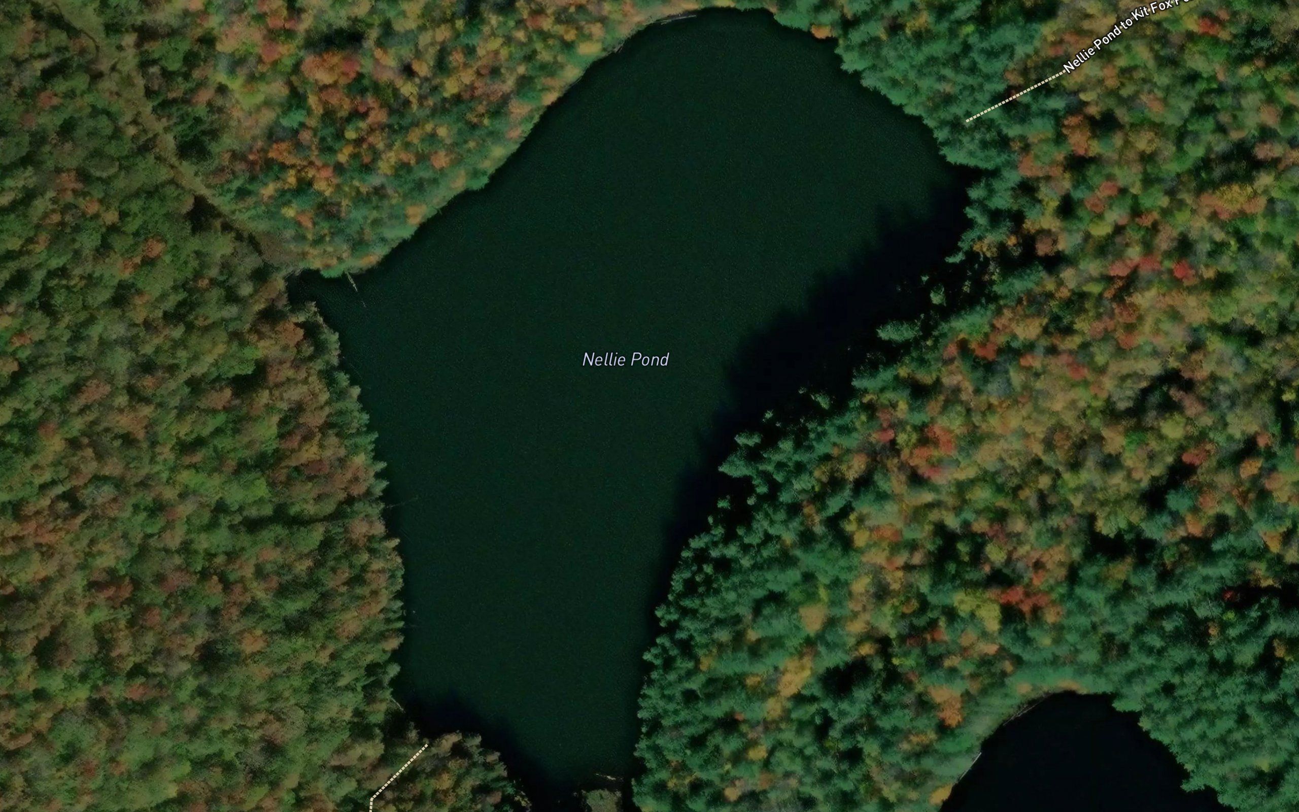 Nellie Pond