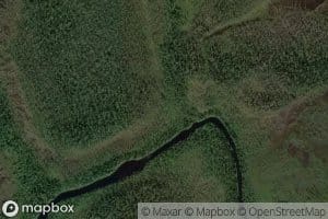Nimetonoja