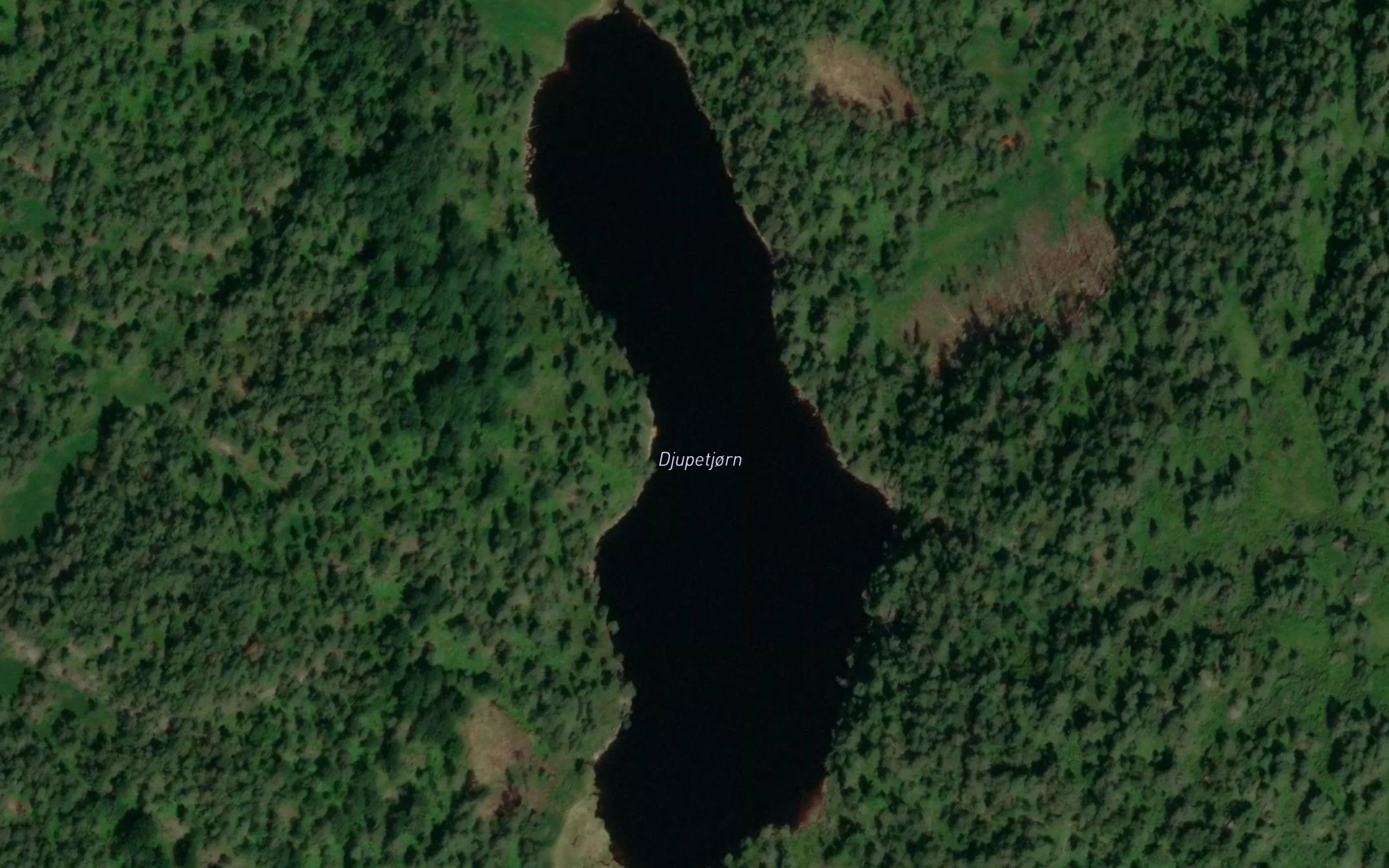 Djupetjorn