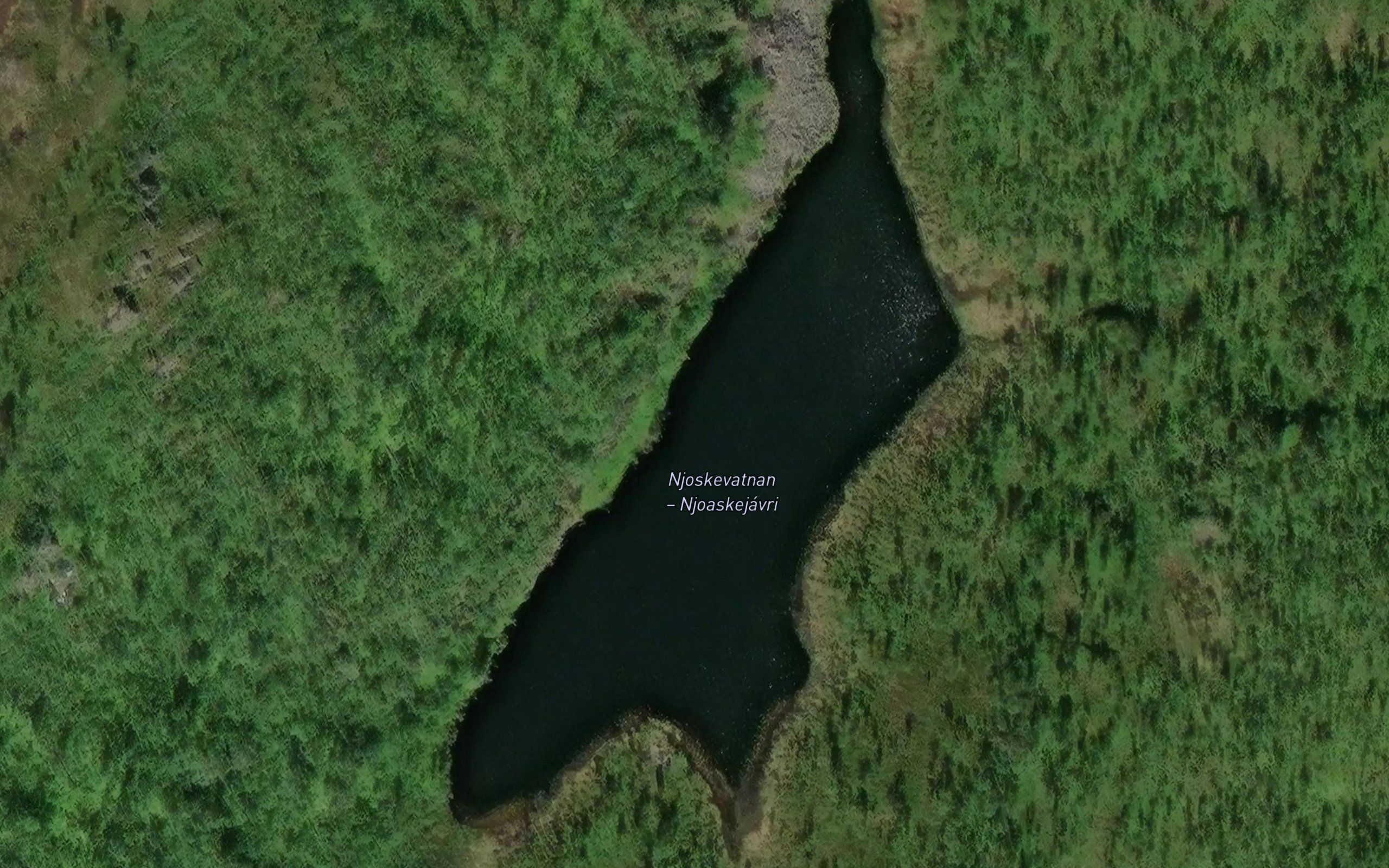 Njoskevatna