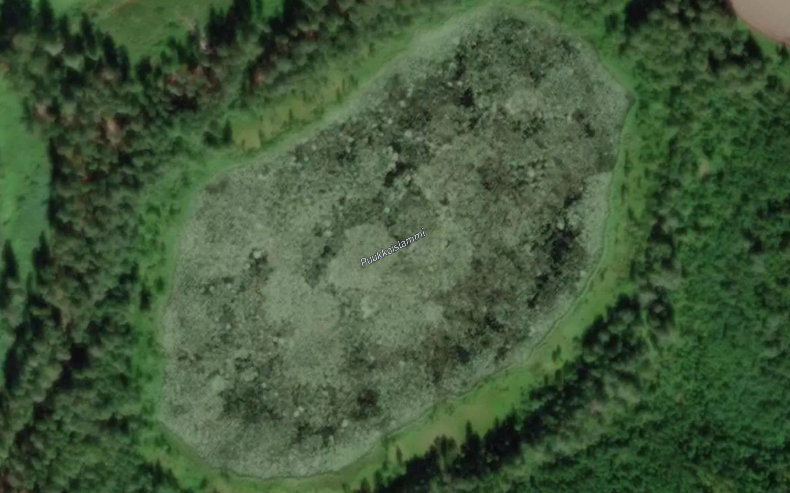 Puukkoislammi