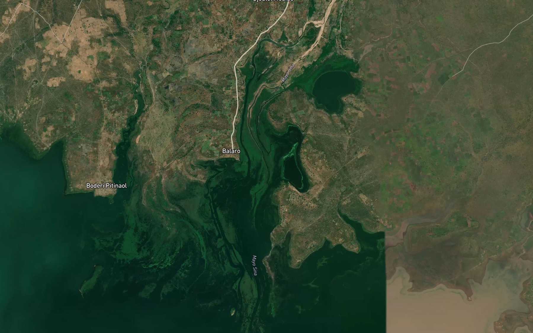 Satellite map of the Mayo Sina