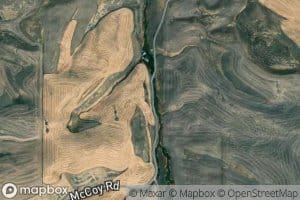 Company Hollow Spring