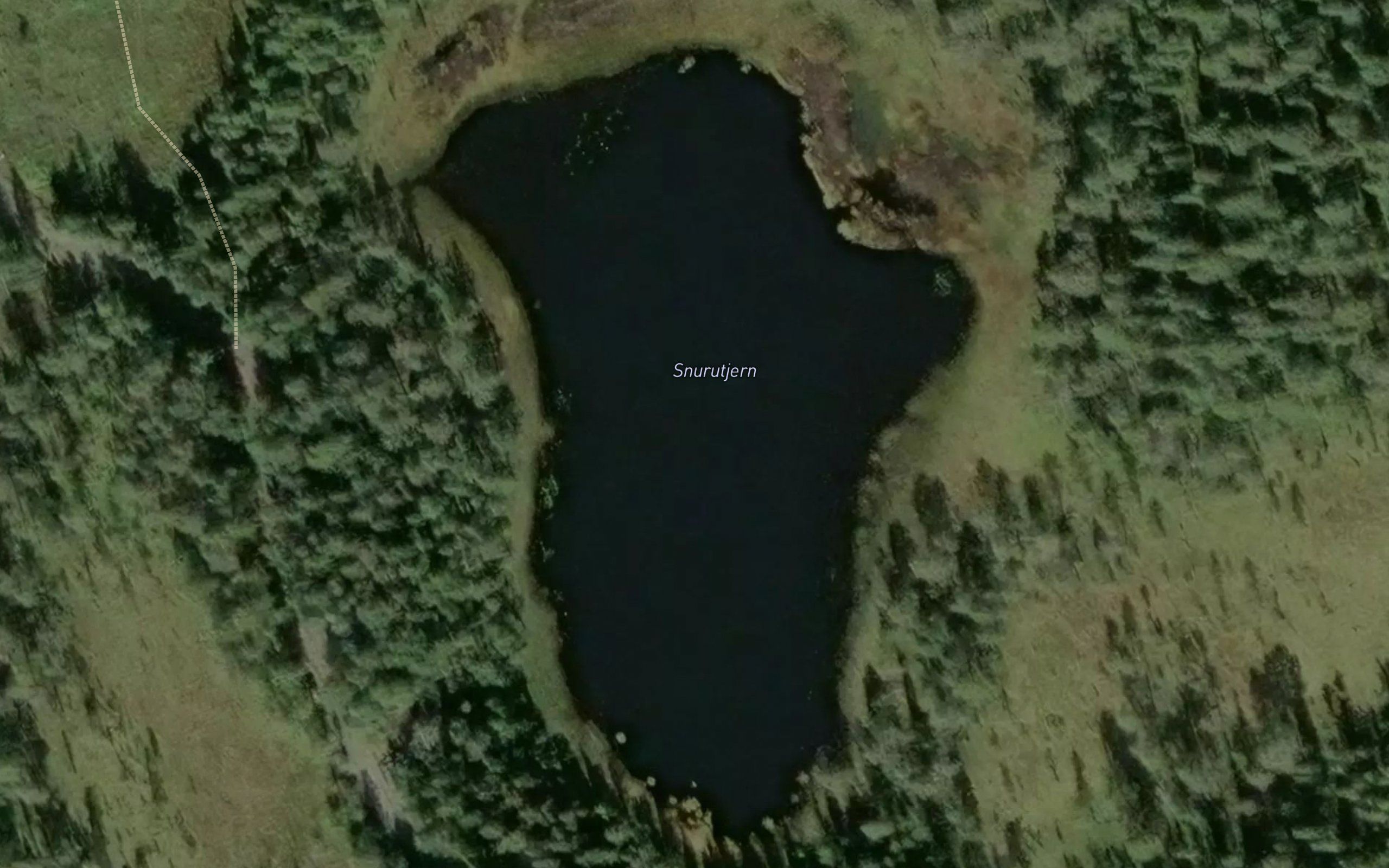 Snurretjern