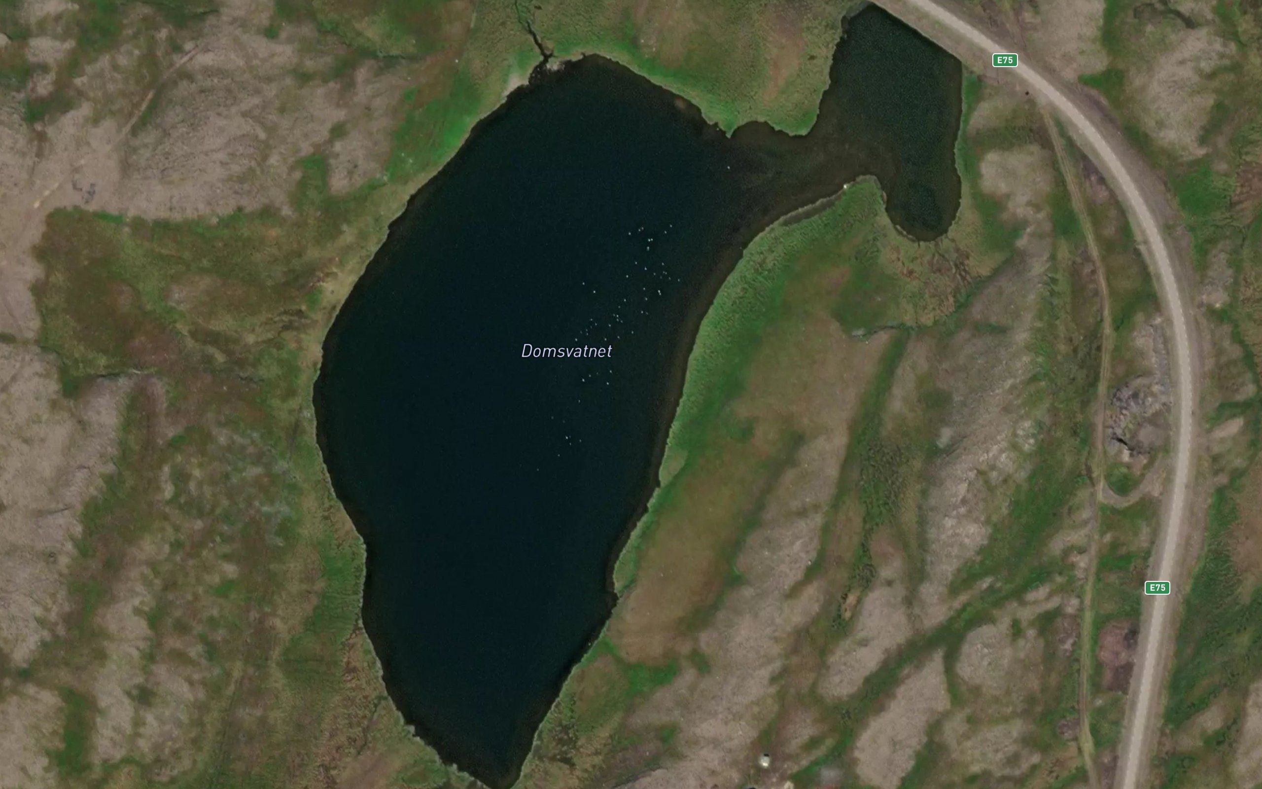 Domsvatnet