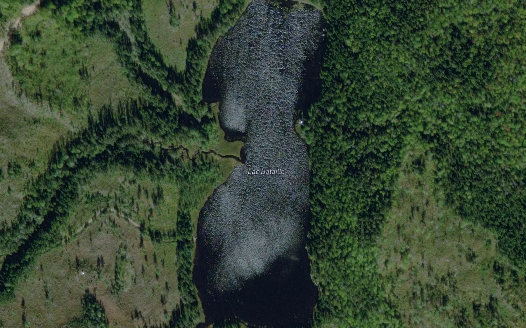 Satellite map of the Lac Bataille