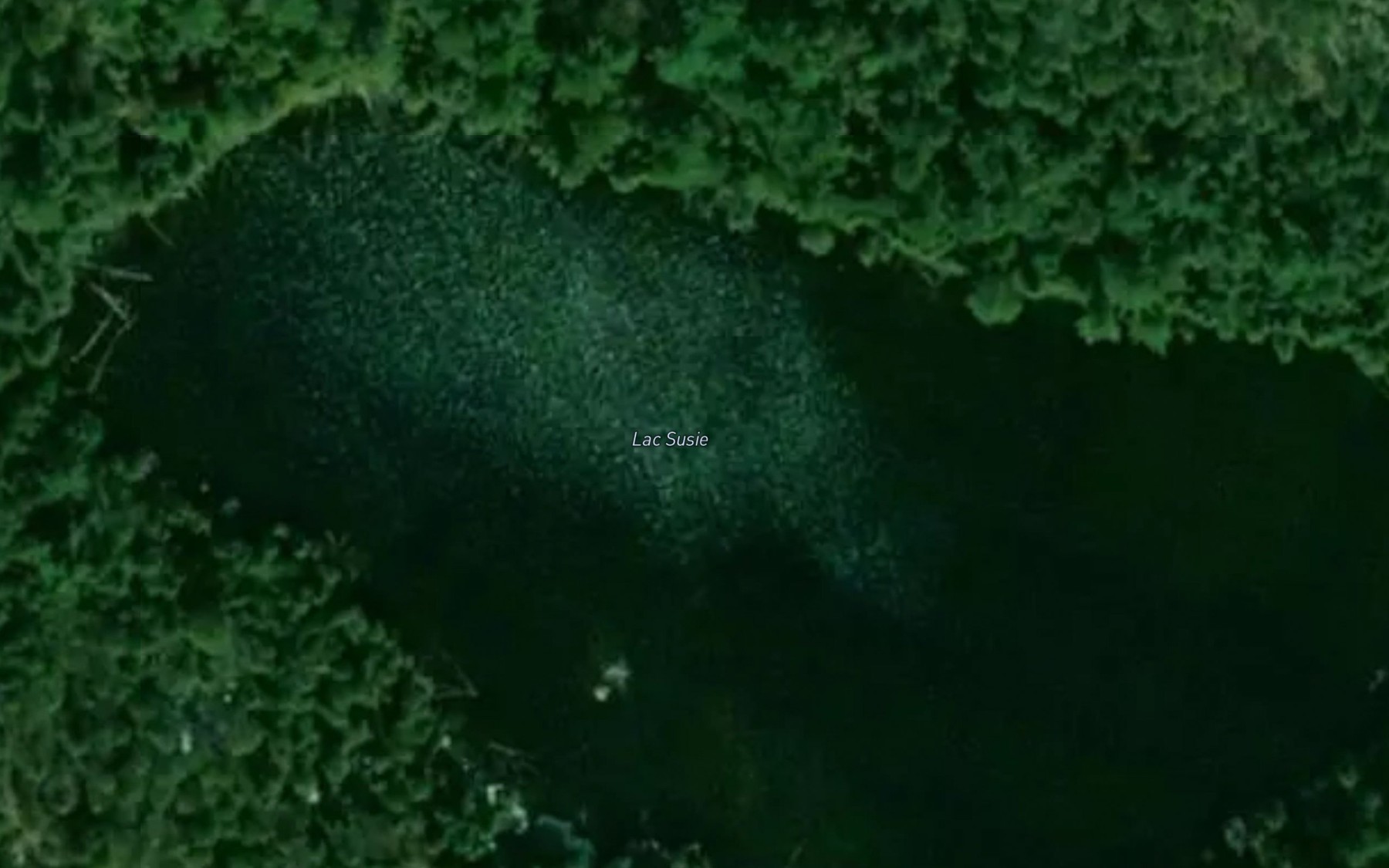 Satellite map of the Lac Susie