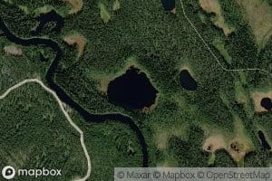 Hamonlampi