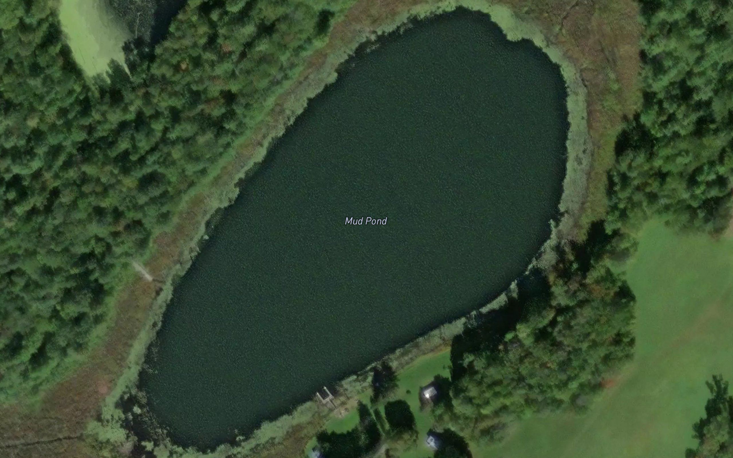 Mud Pond