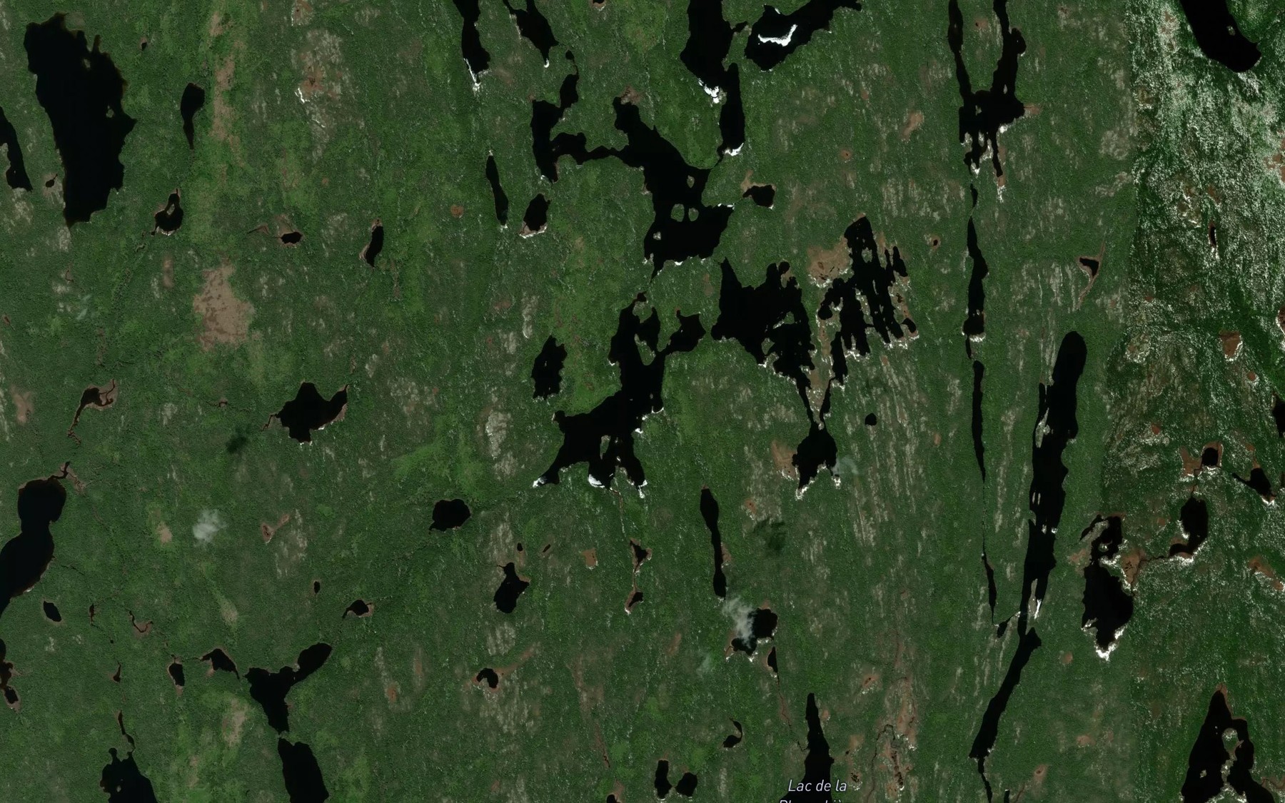 Satellite map of the Lac de la Trappe