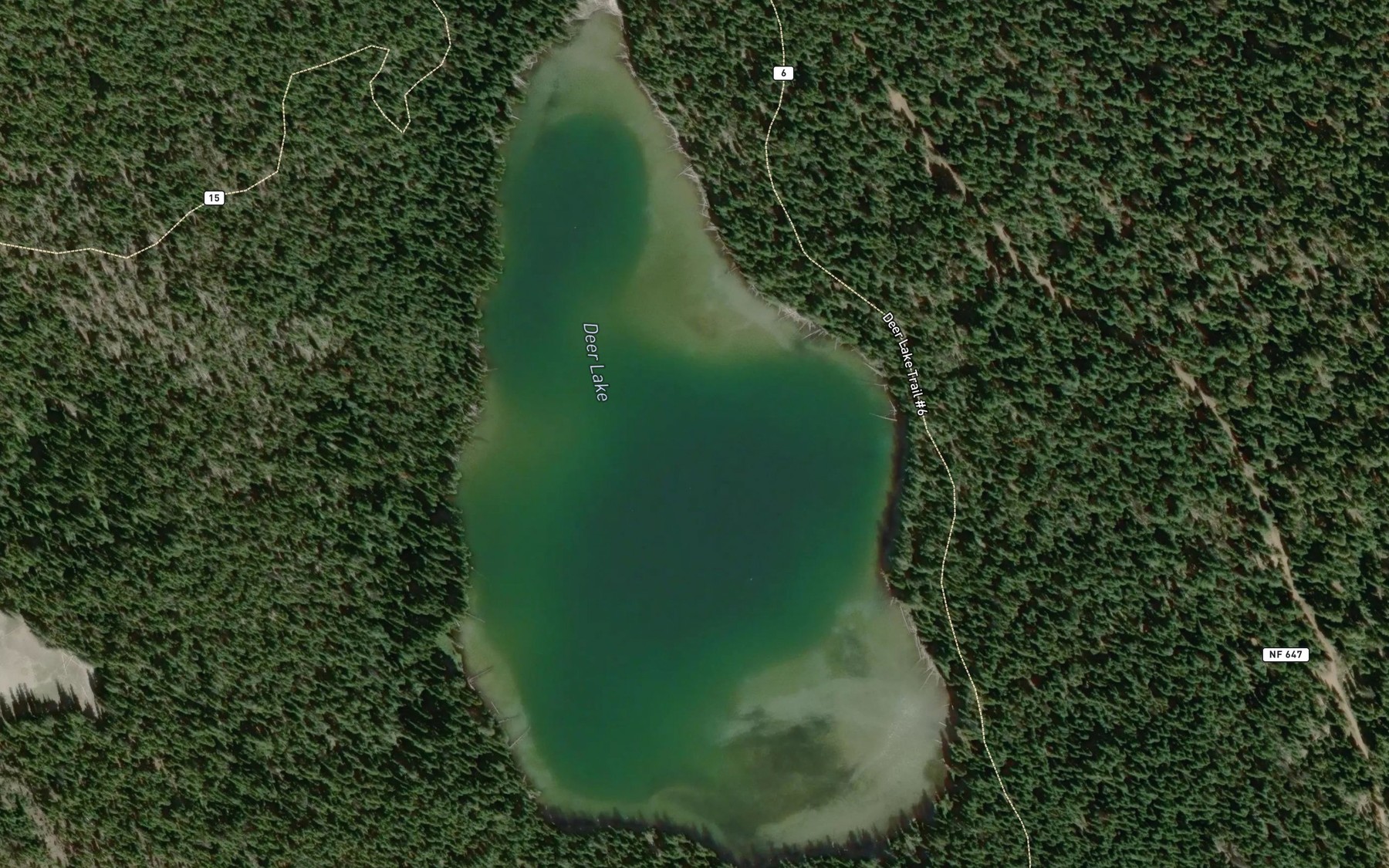 Satellite map of the Deer Lake