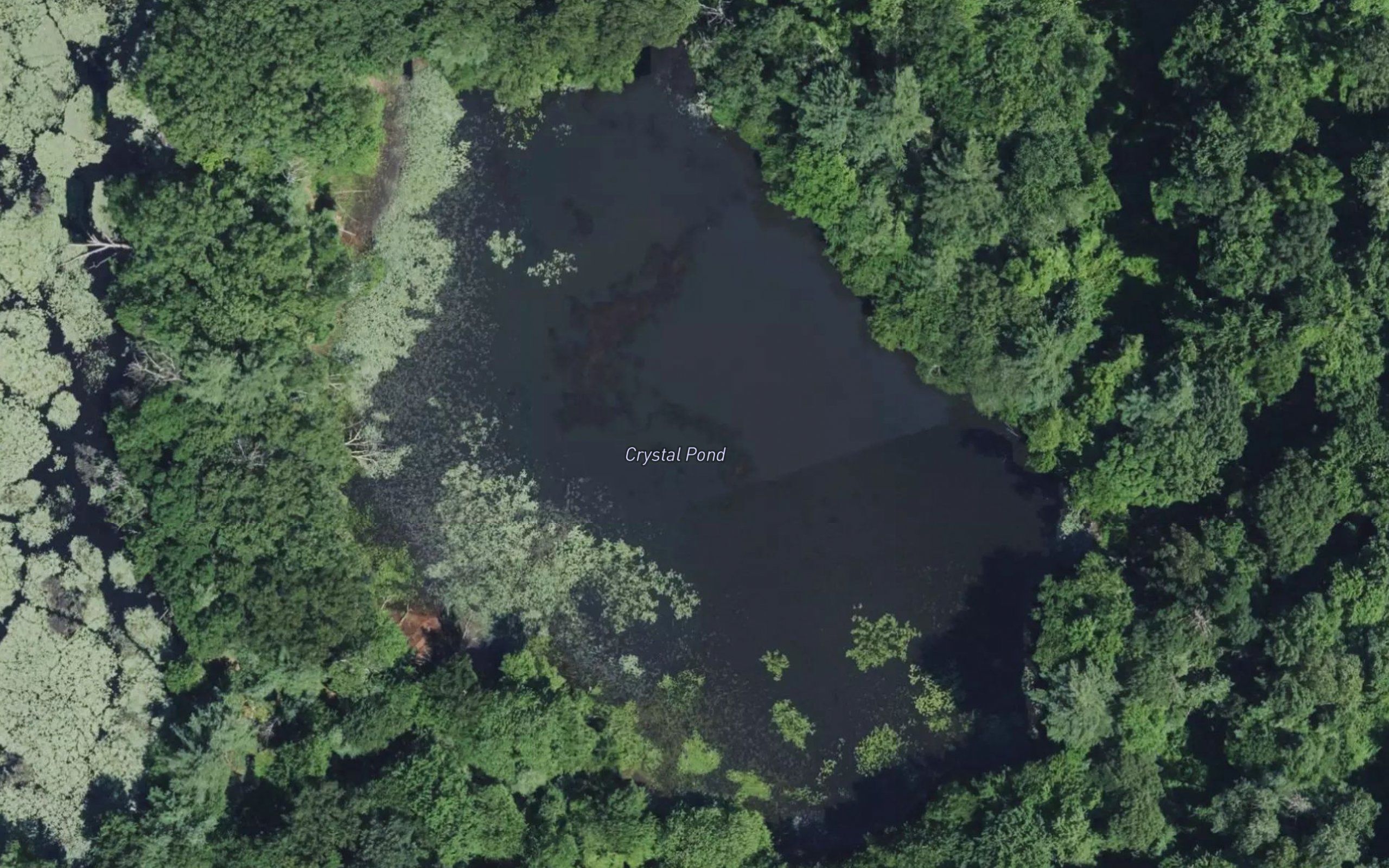 Crystal Pond