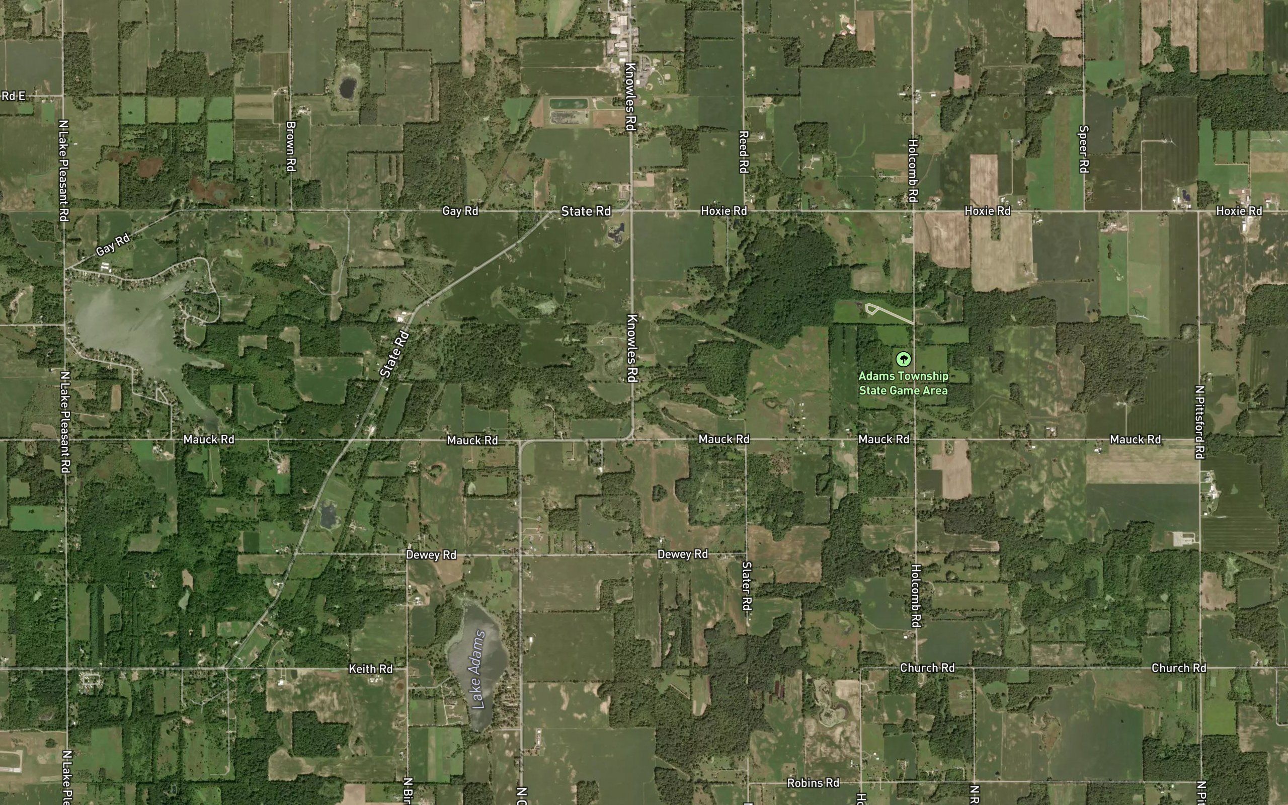 Shull Drain