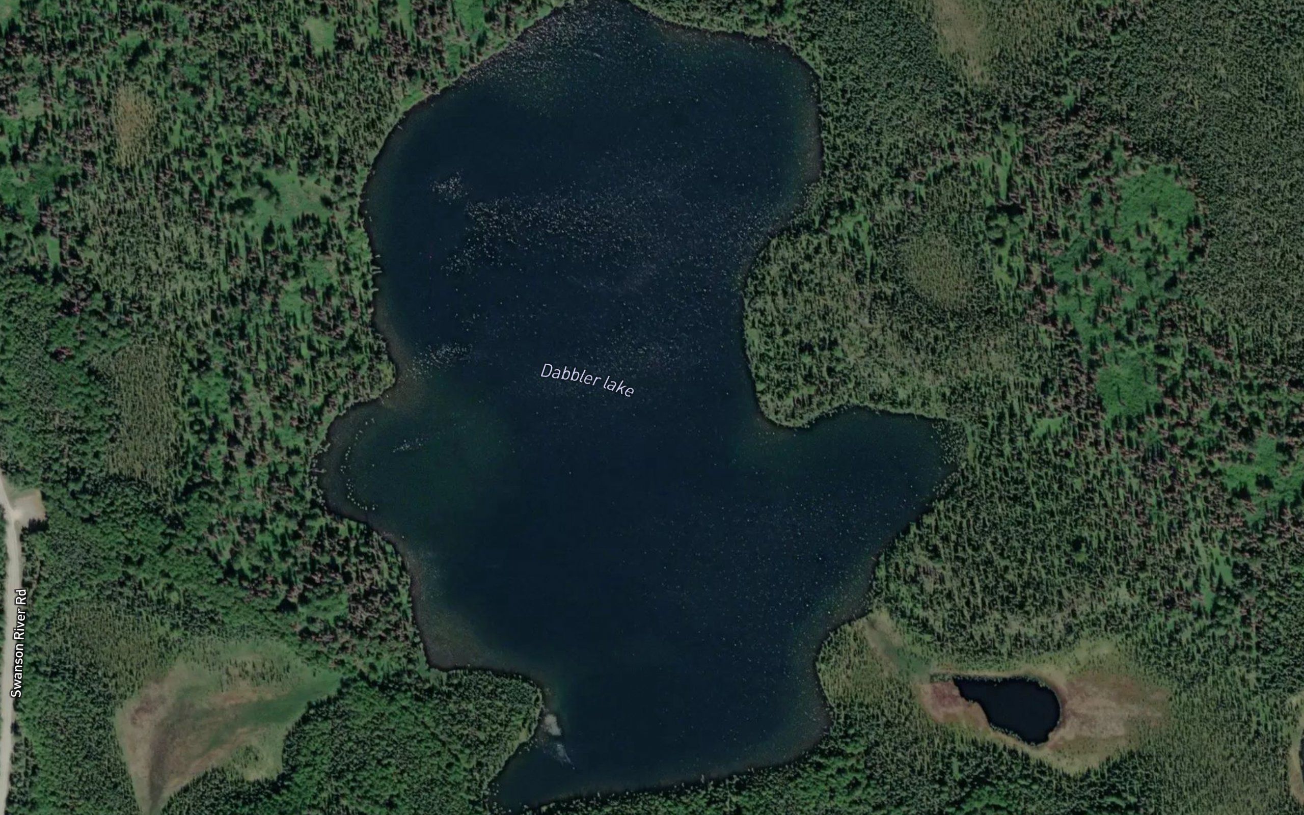 Dabbler Lake