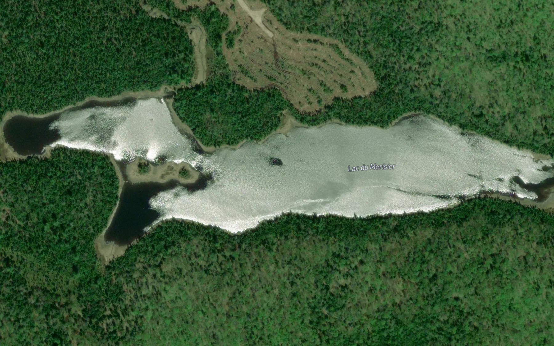 Satellite map of the Lac du Merisier