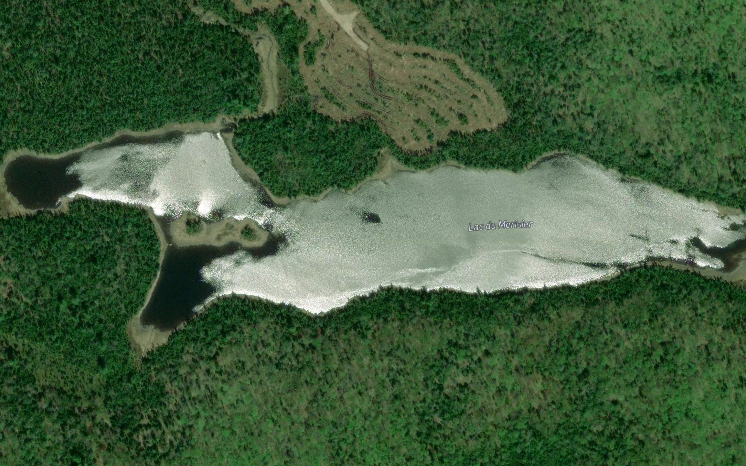 Lac du Merisier