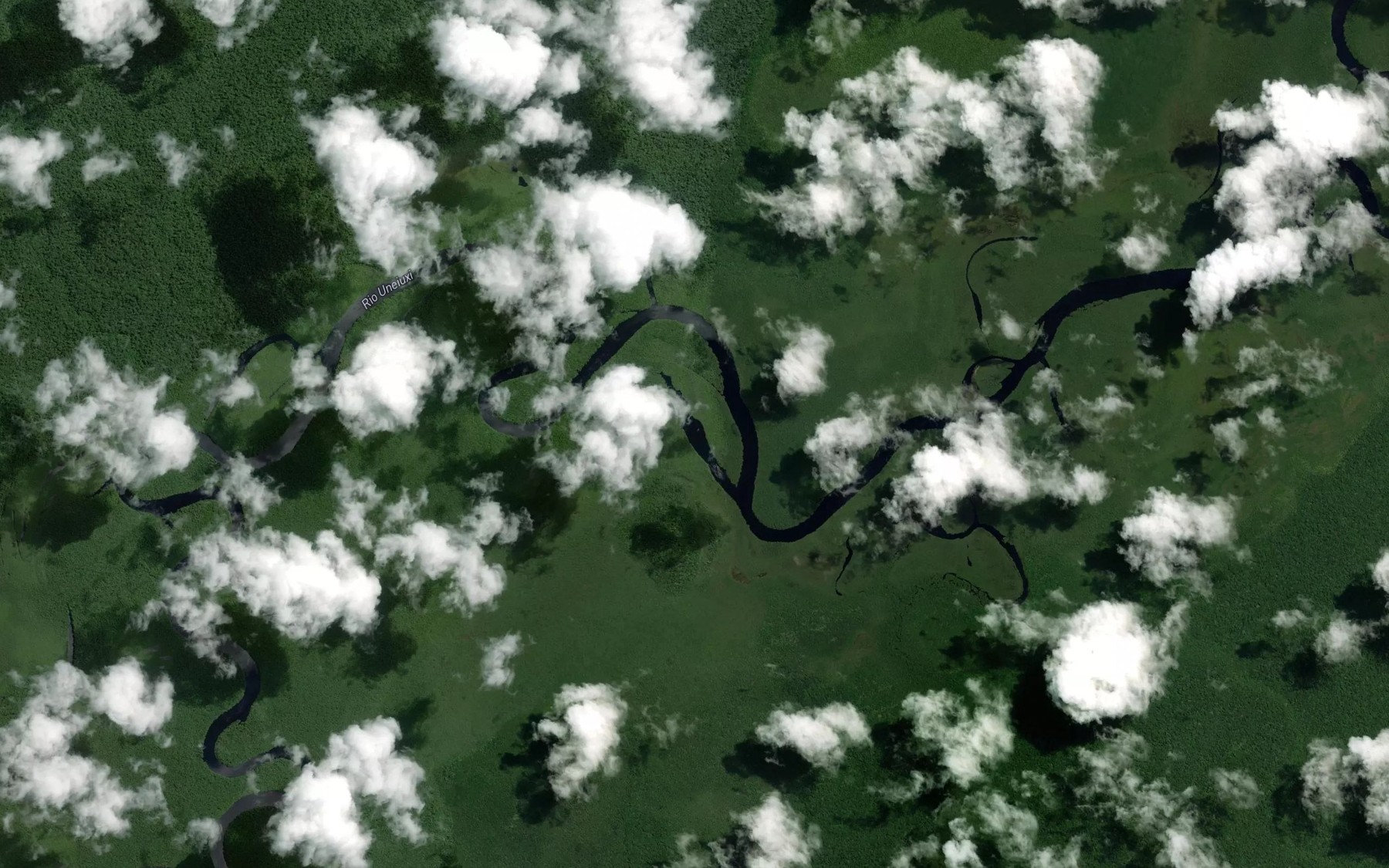 Satellite map of the Lago do Beri-Beri