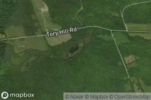 Tory Hill Pond