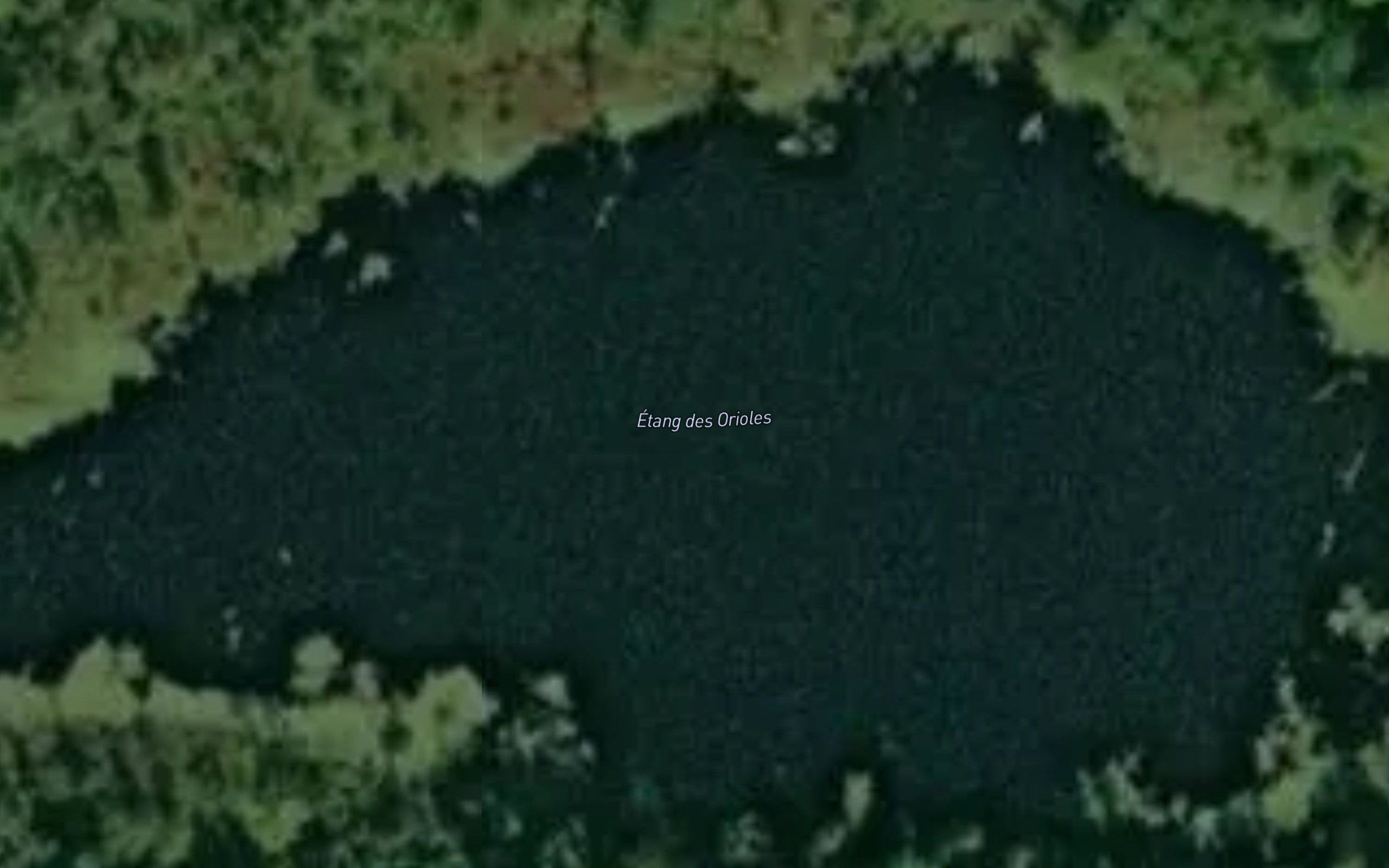 Etang des Orioles