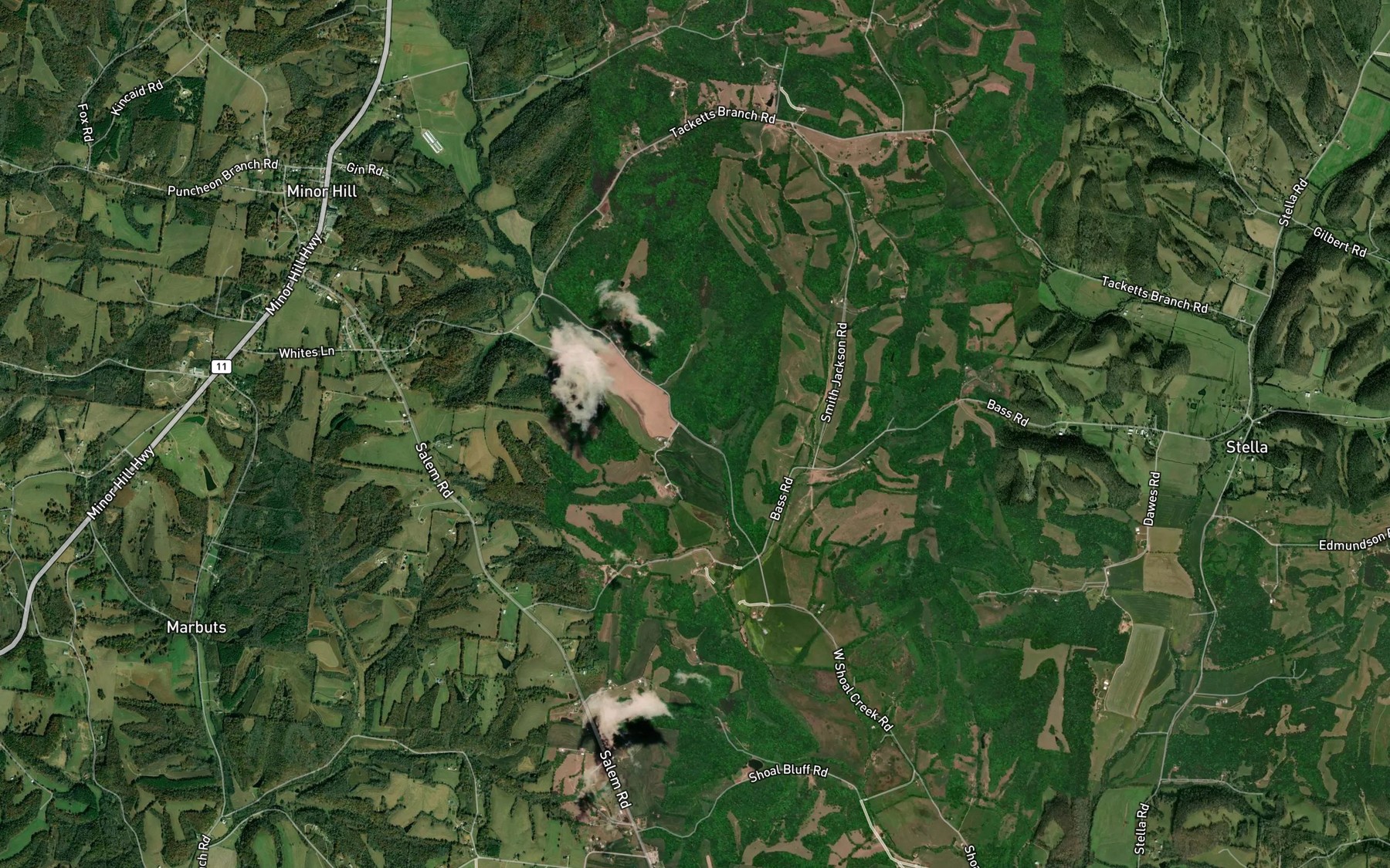 Satellite map of the Flippo Spring