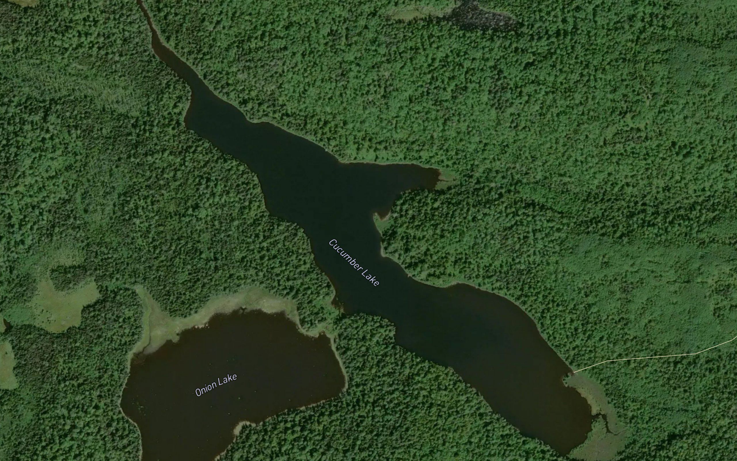 Cucumber Lake