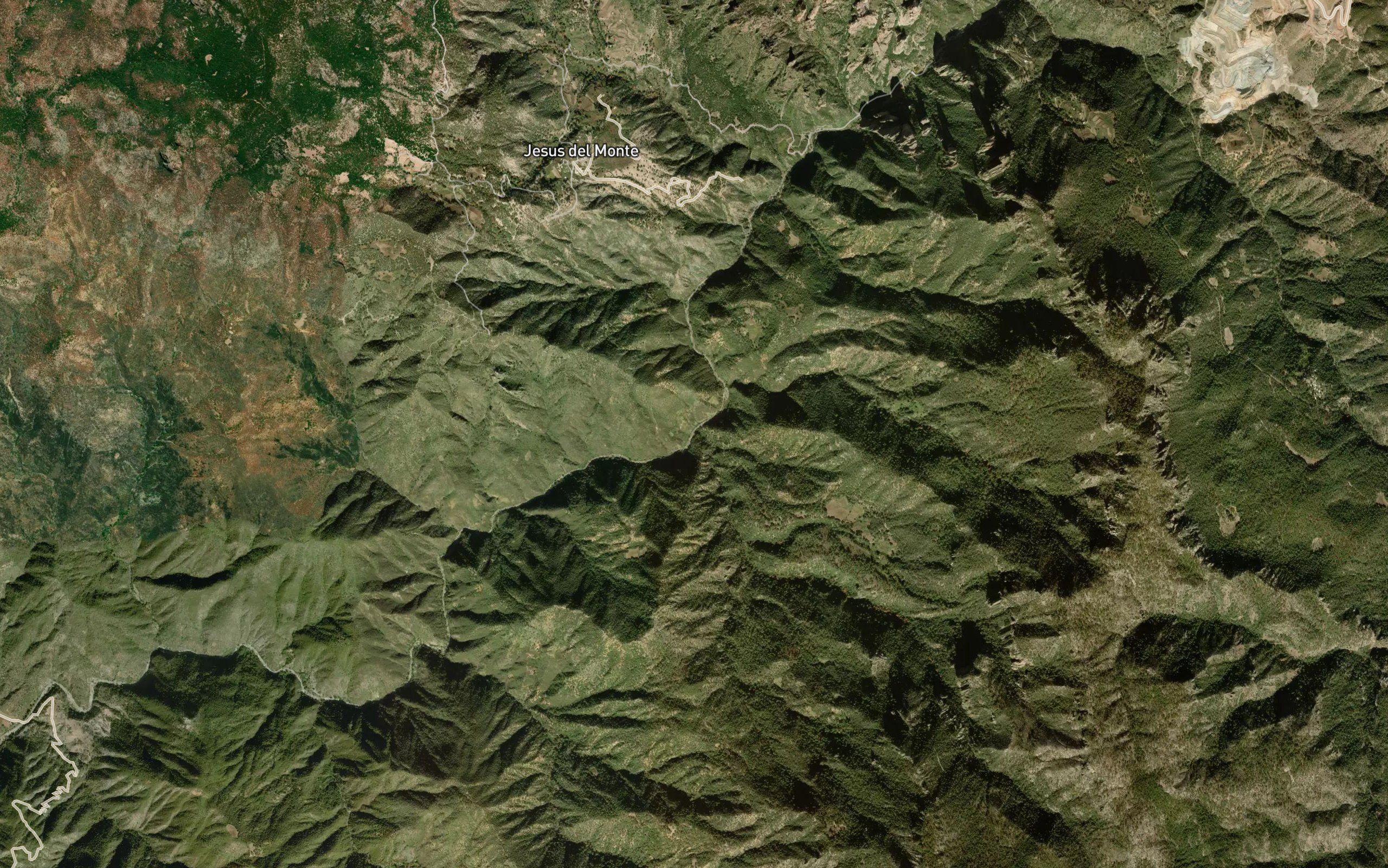 El Bosque
