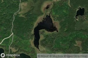 Planted Lake