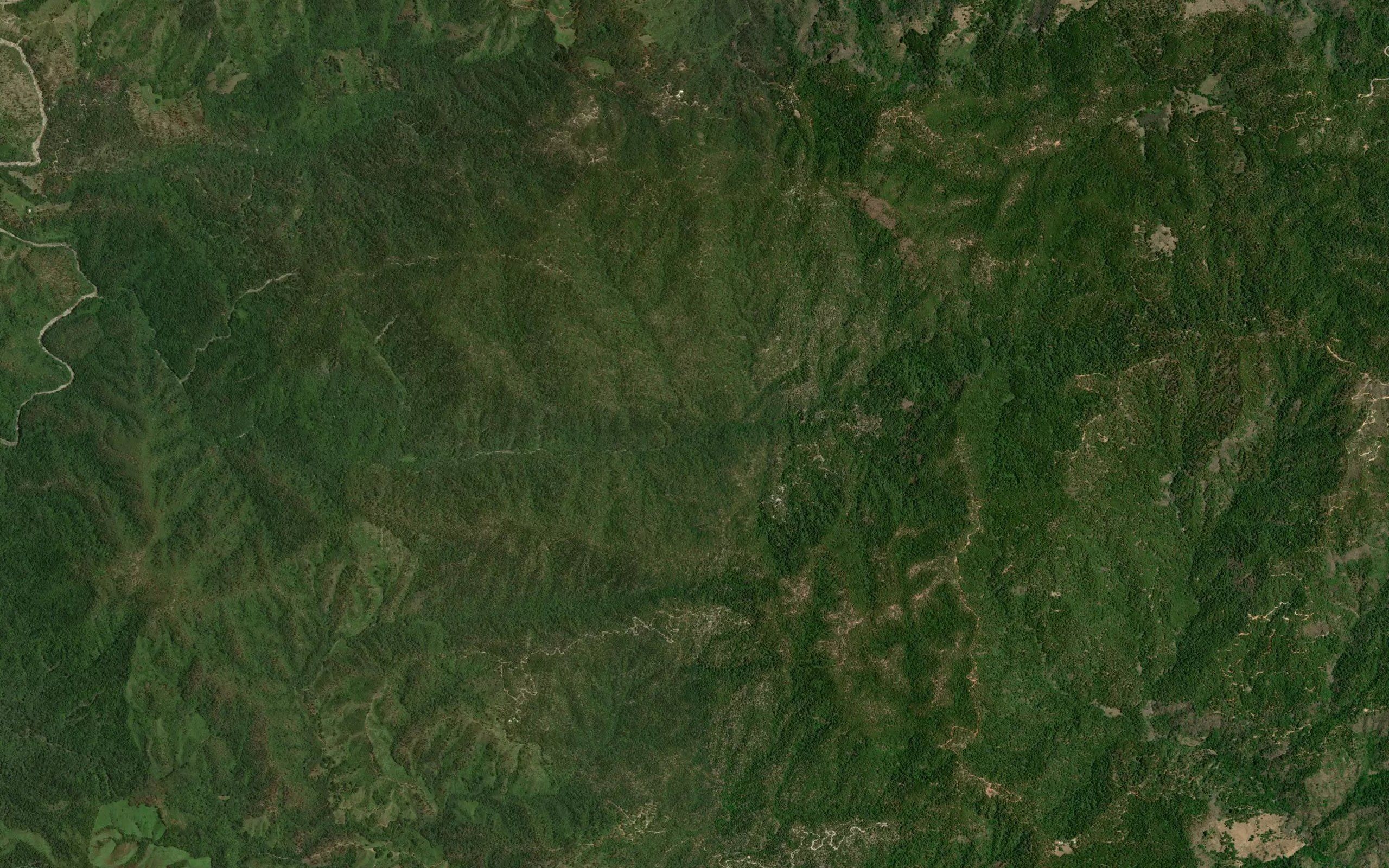 Monte Verde