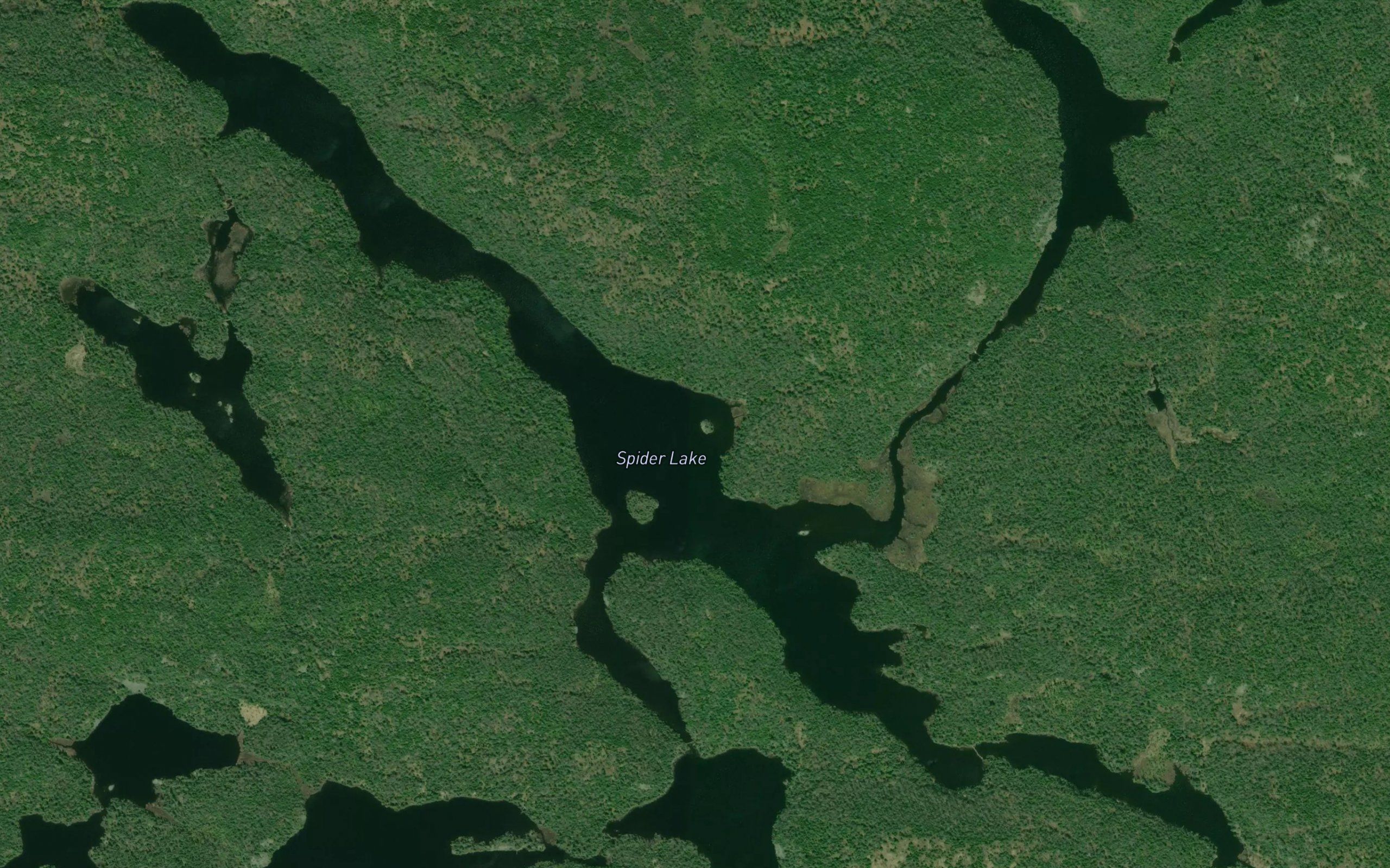 Spider Lake