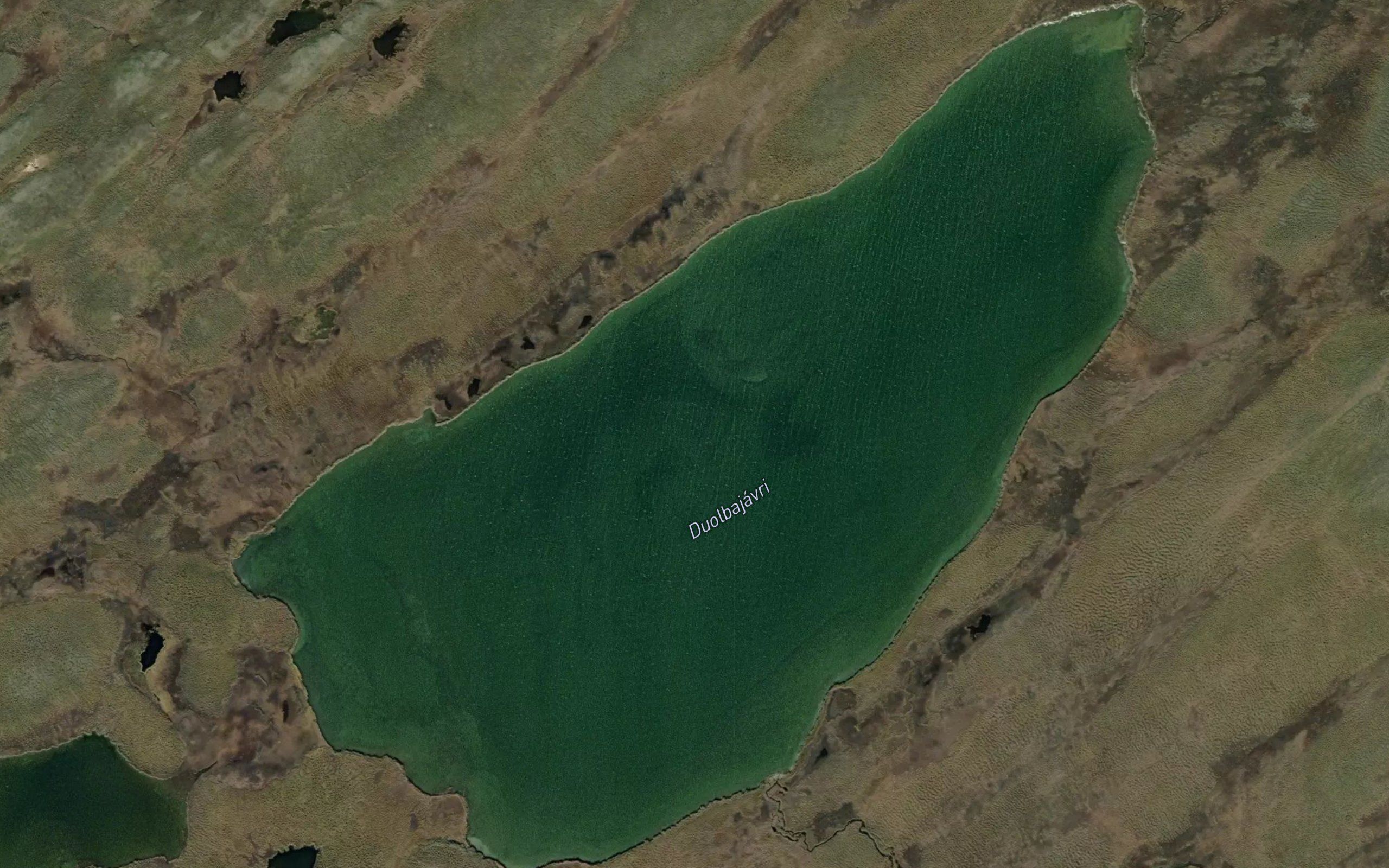 Duolbajavri