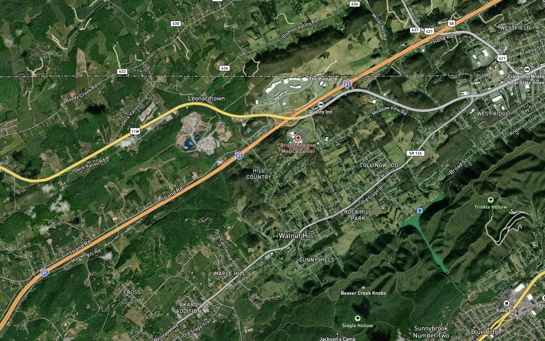 Satellite map of the Steele Spring