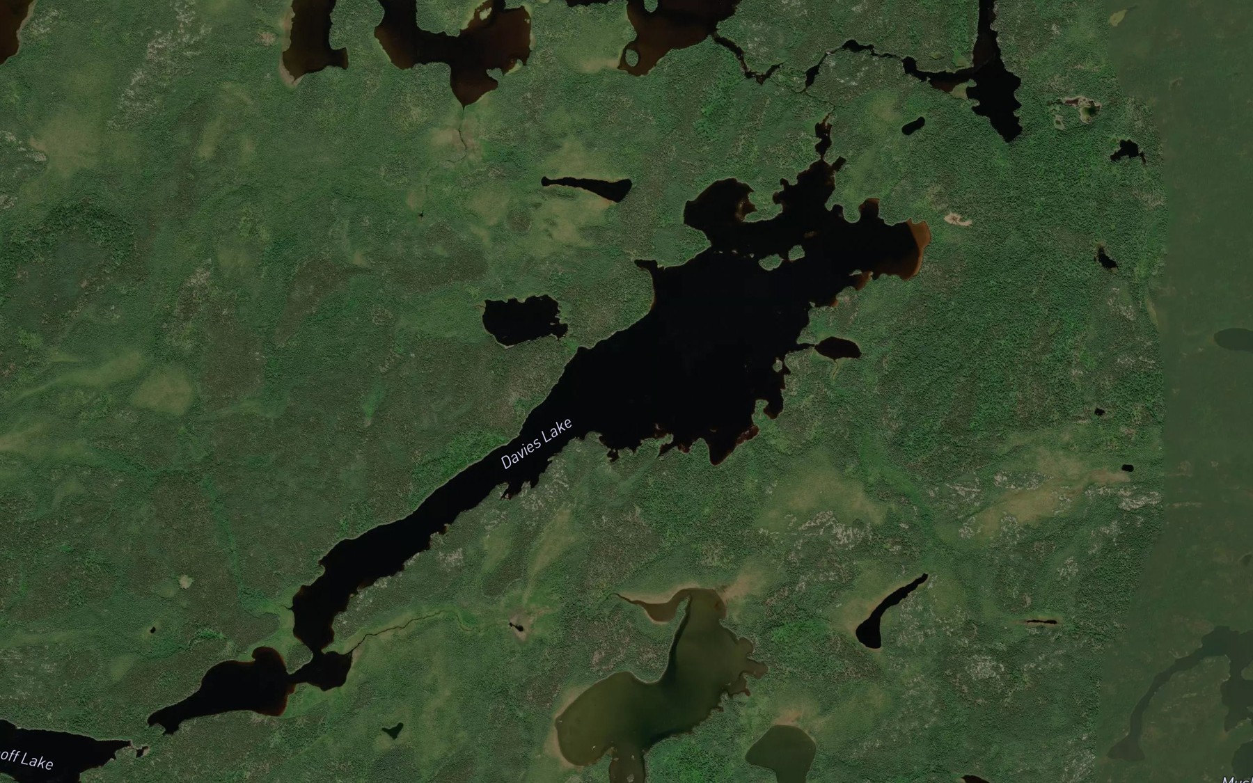 Satellite map of the Davies Lake