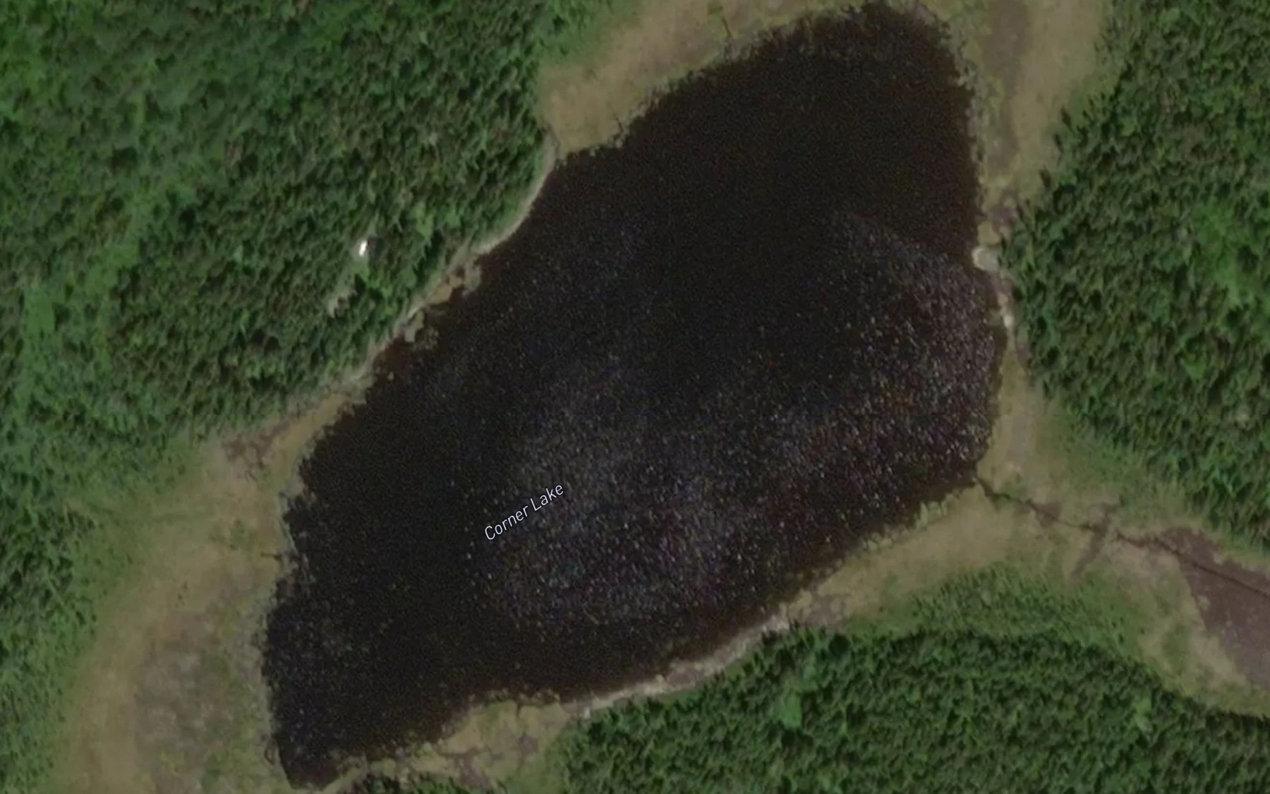 Satellite map of the Corner Lake