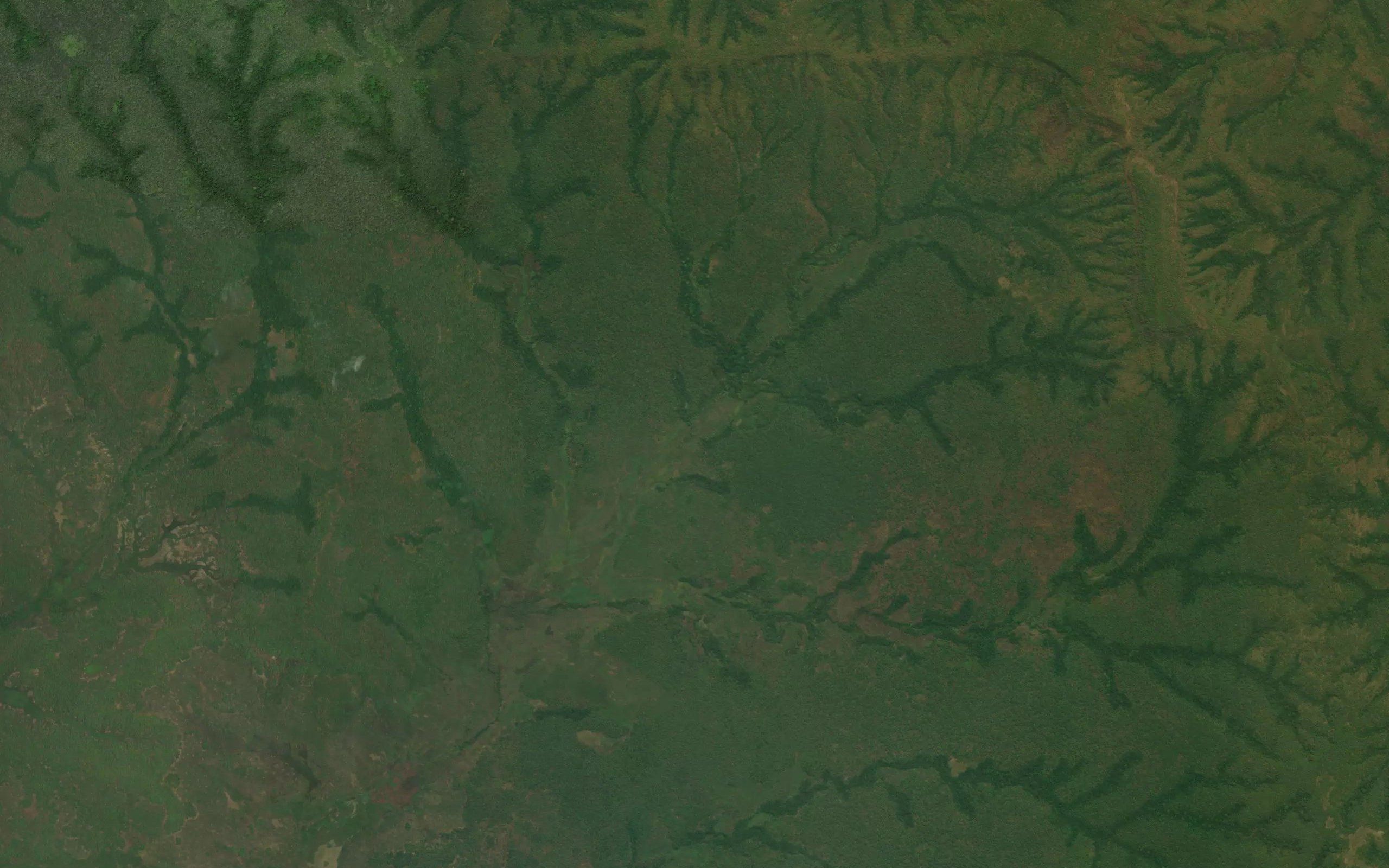 Tchimboa