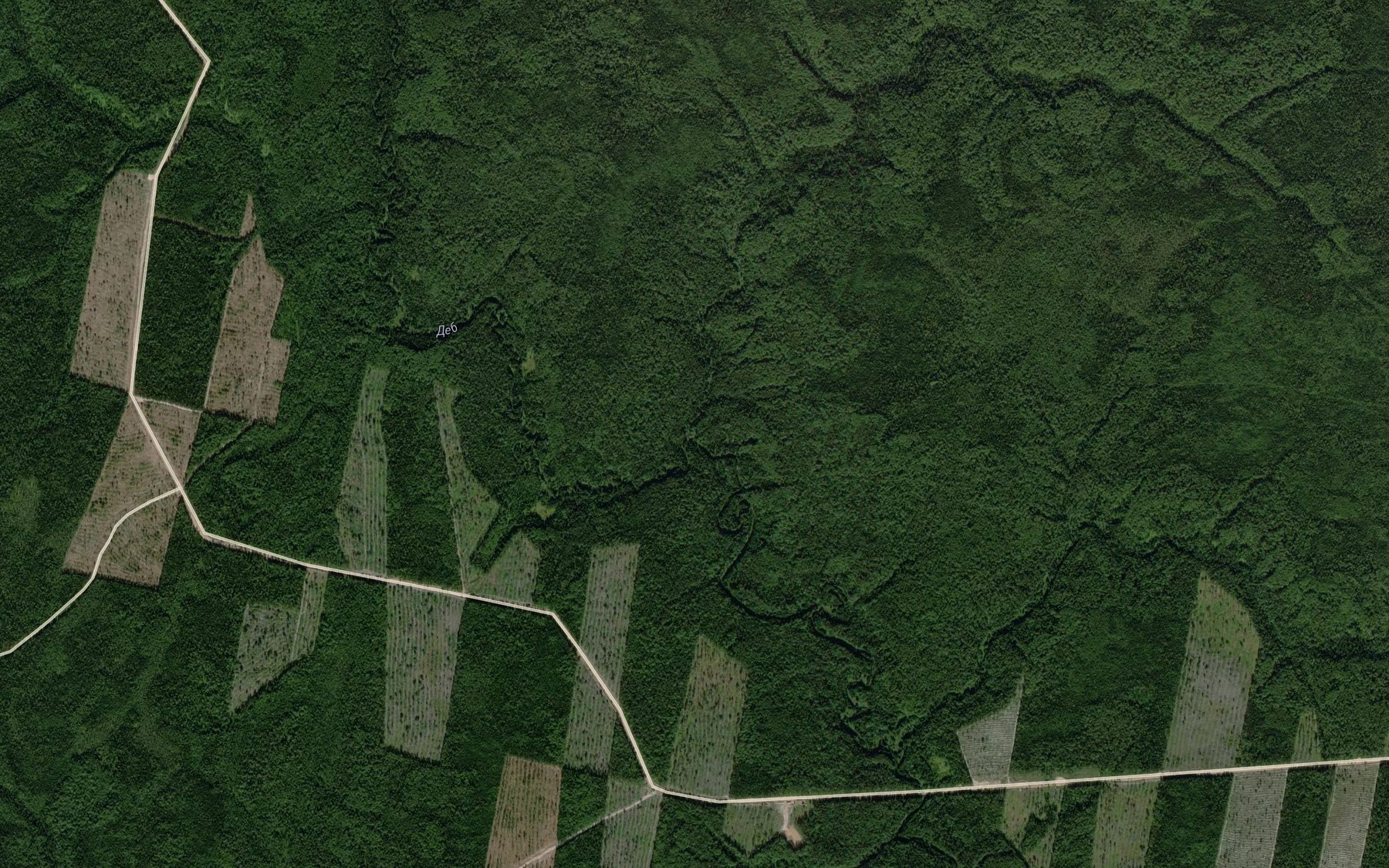 Satellite map of the Debyr