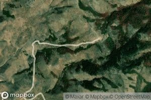 Pine Spring