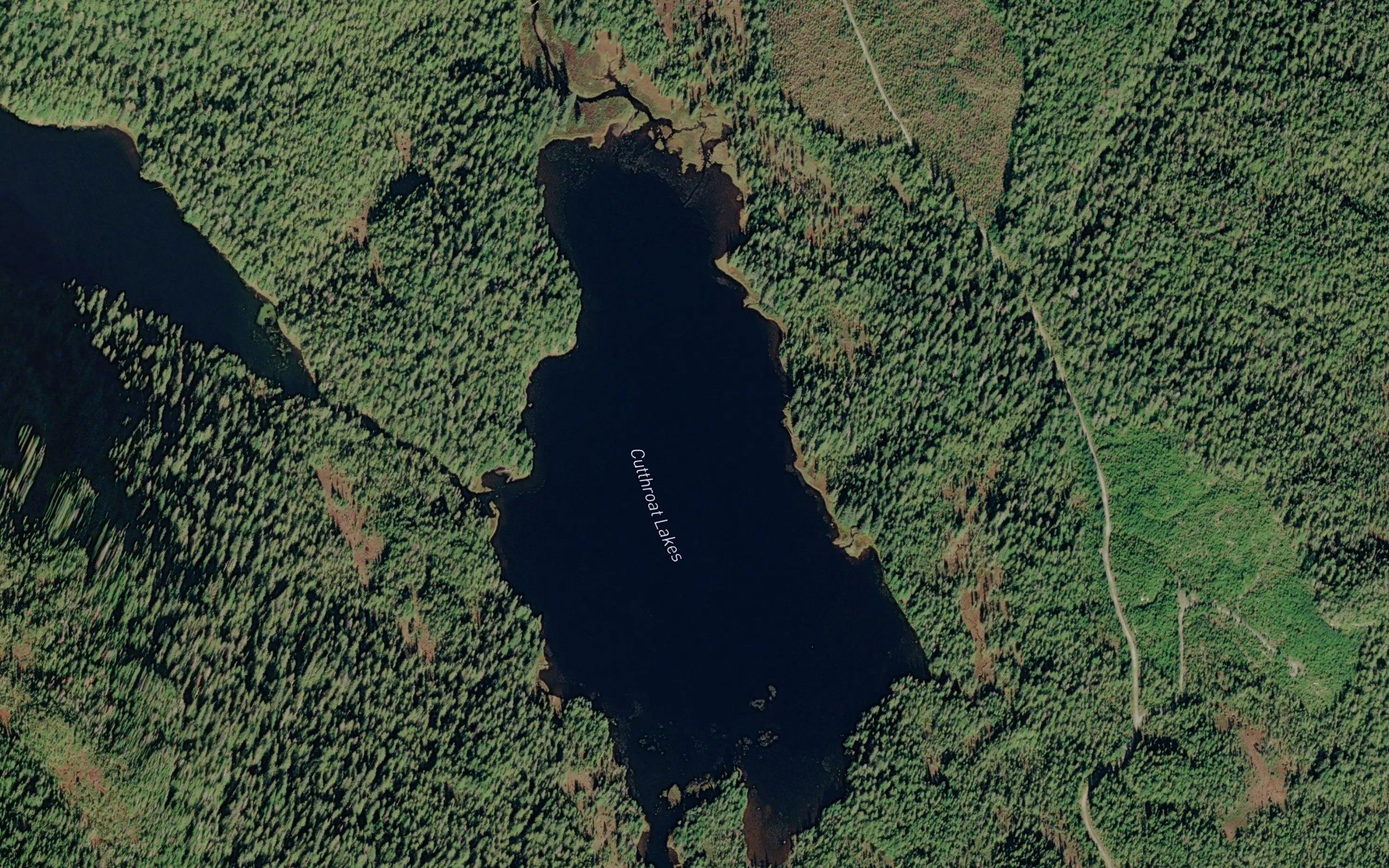 Cutthroat Lakes