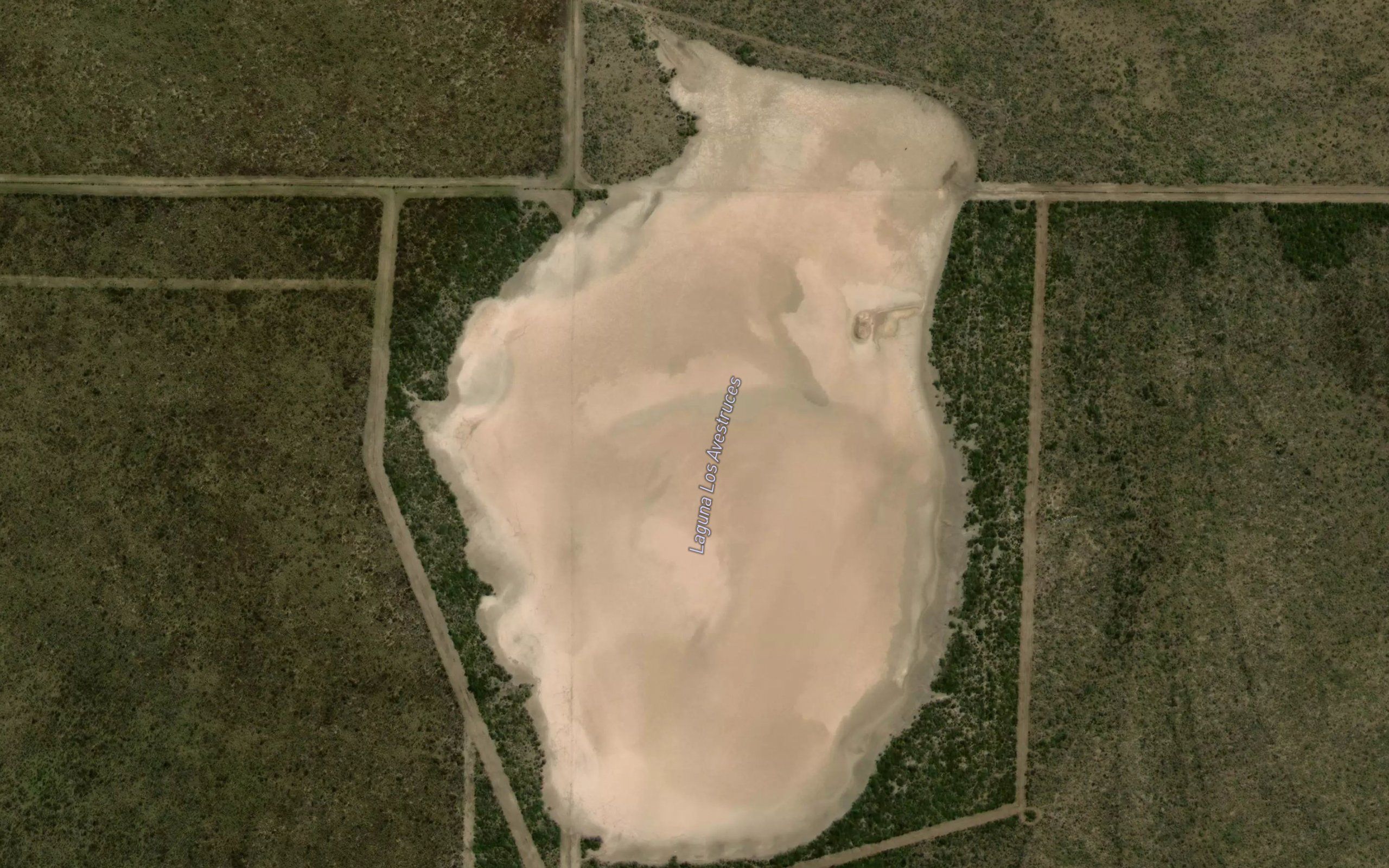 Laguna Avestruz
