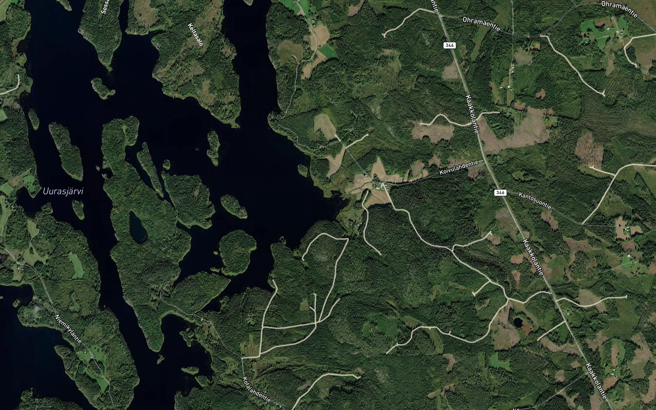 Koivulahti