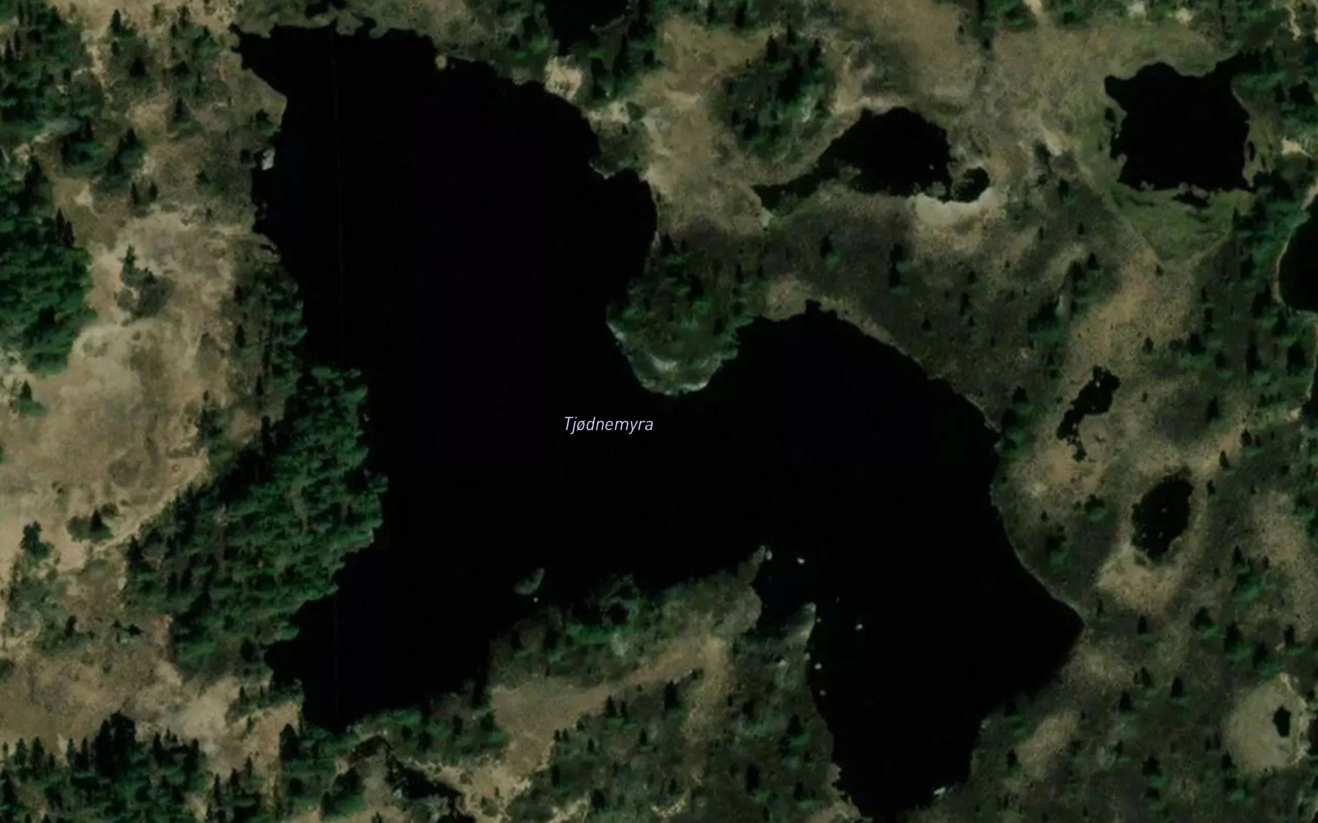 Tjodnemyra