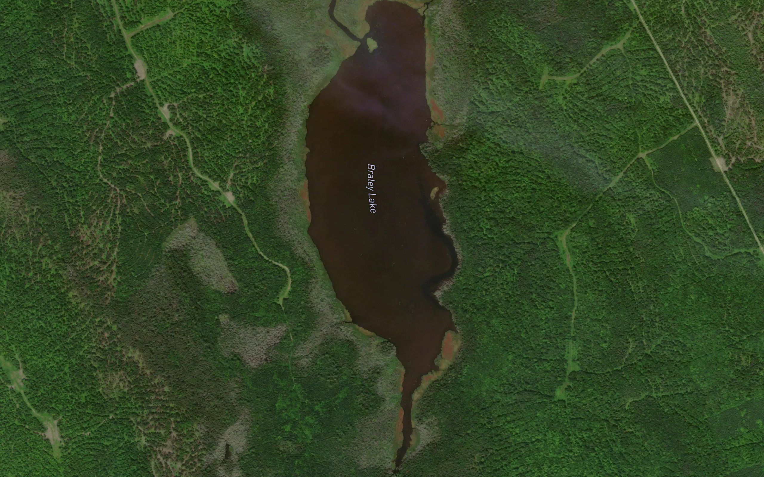 Braley Lake