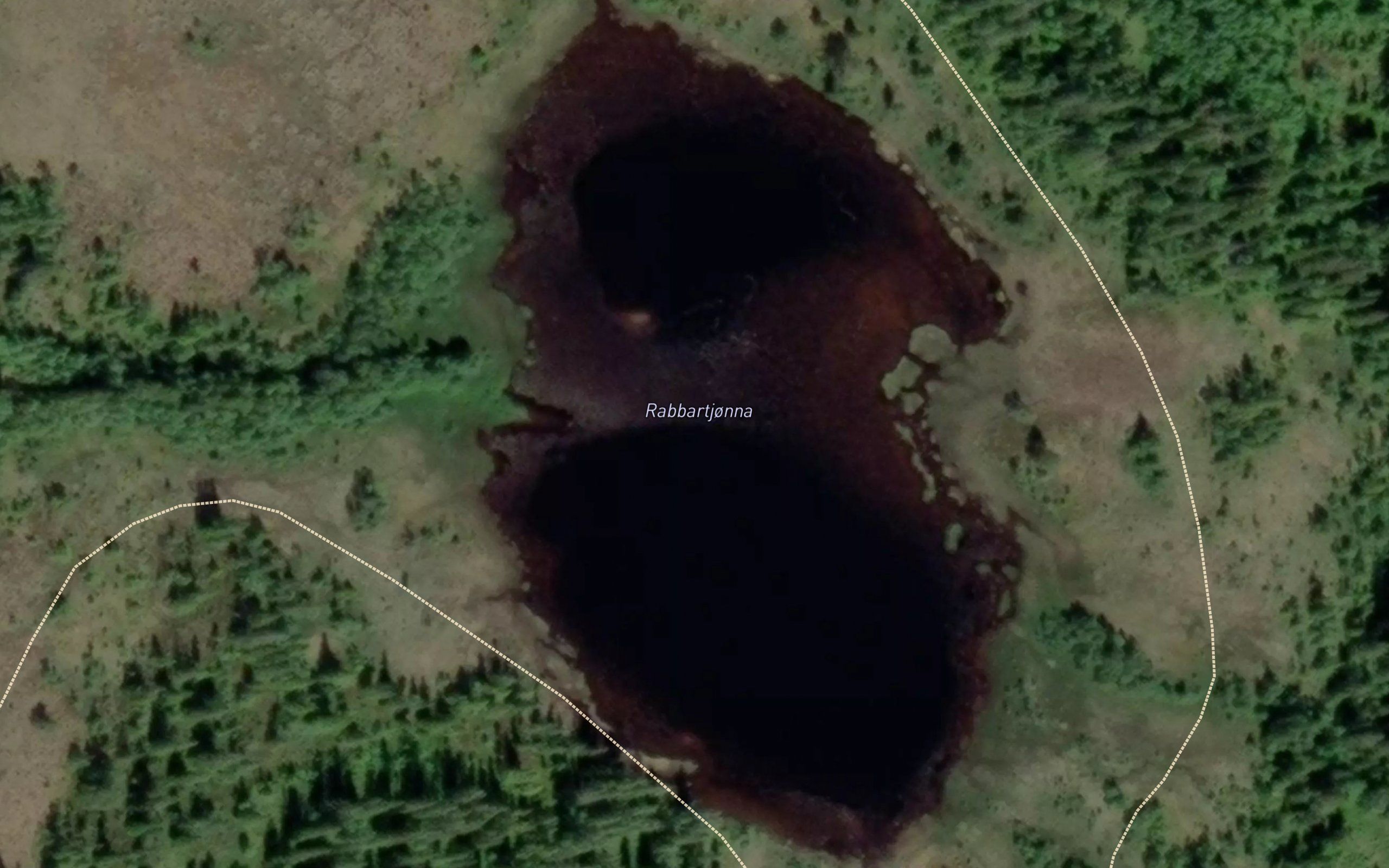 Rabbartjorna