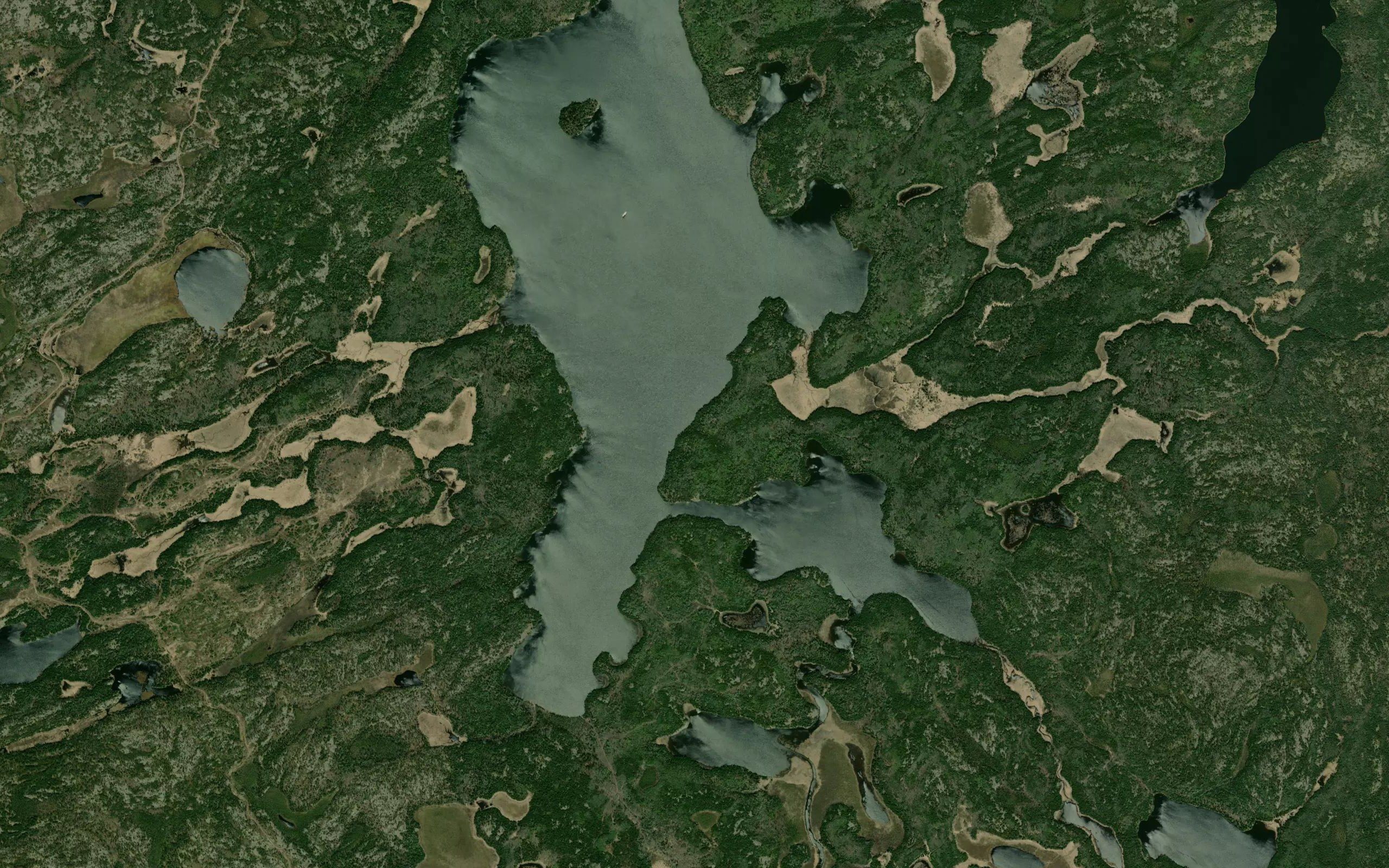 Cygnet River