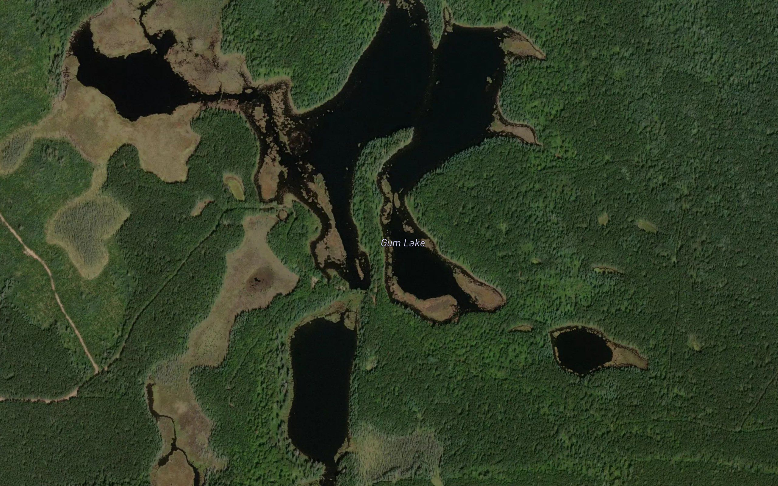 Gum Lake