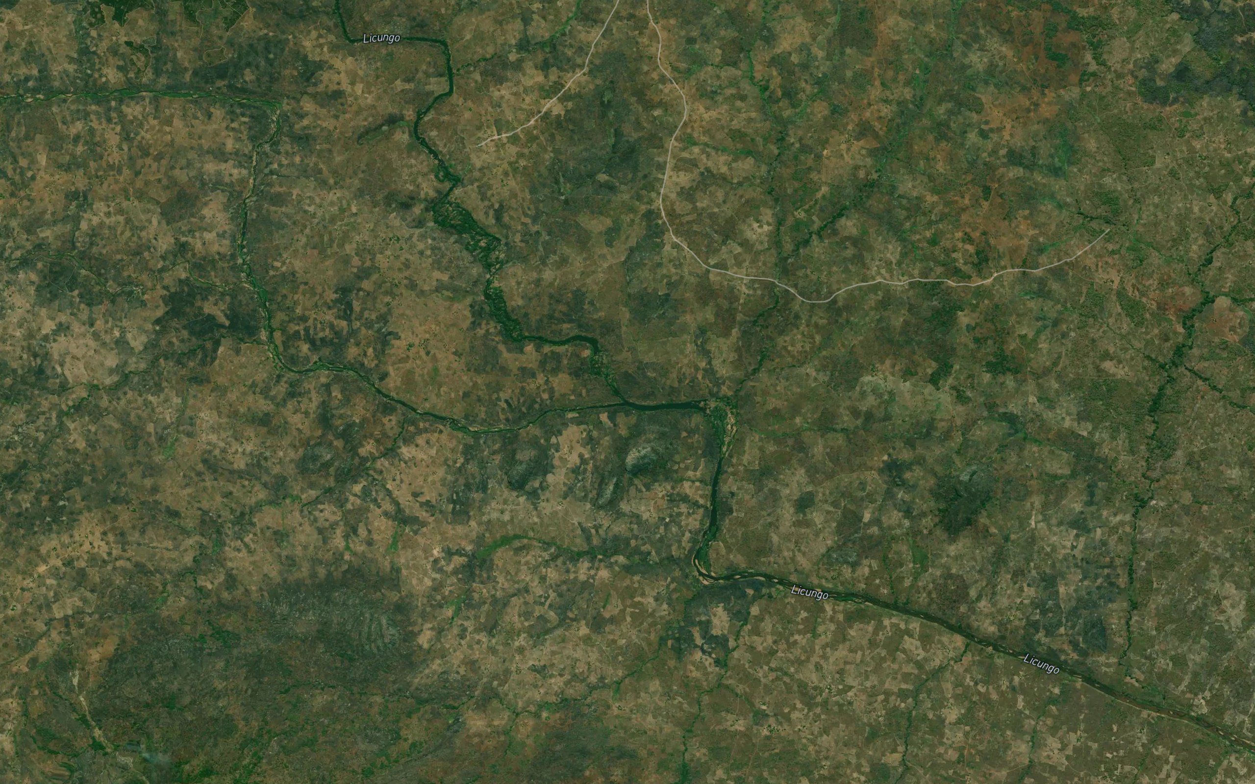 Rio Luo