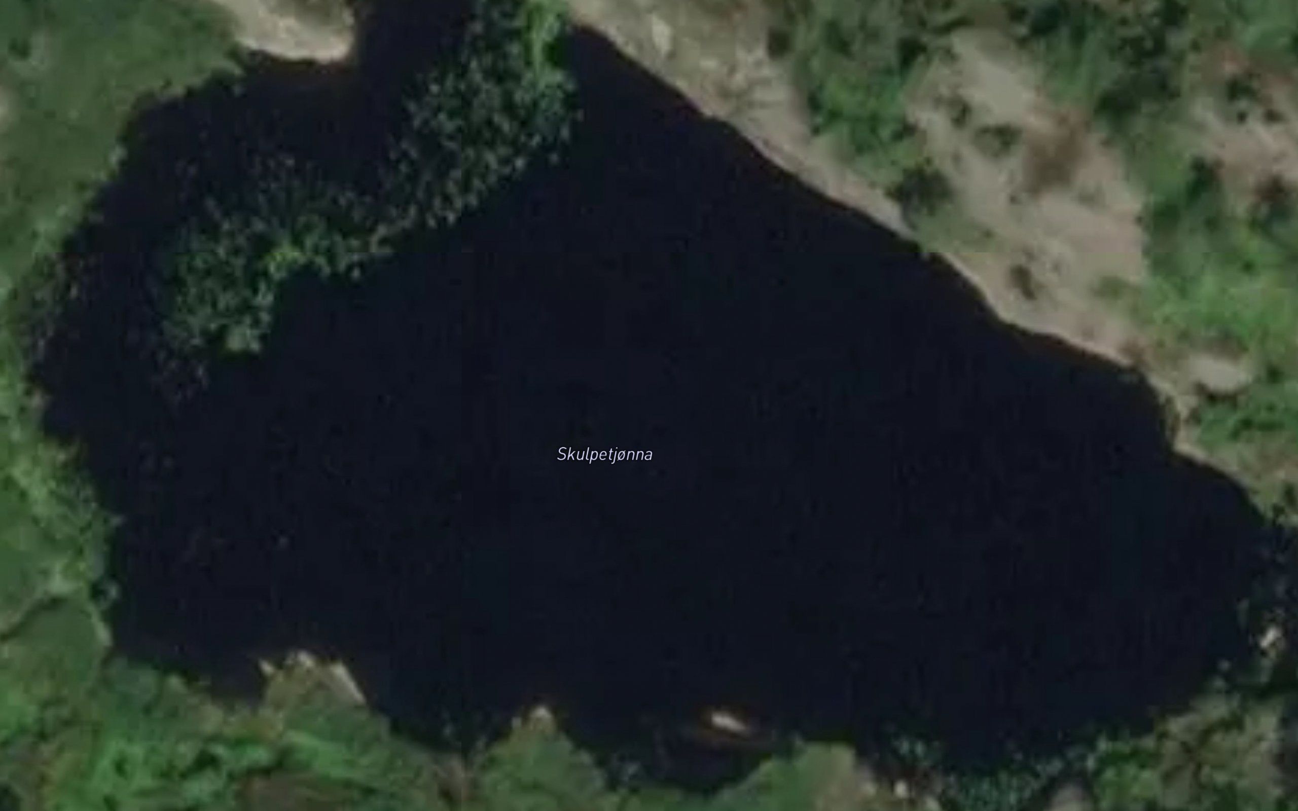 Skulpetjonna