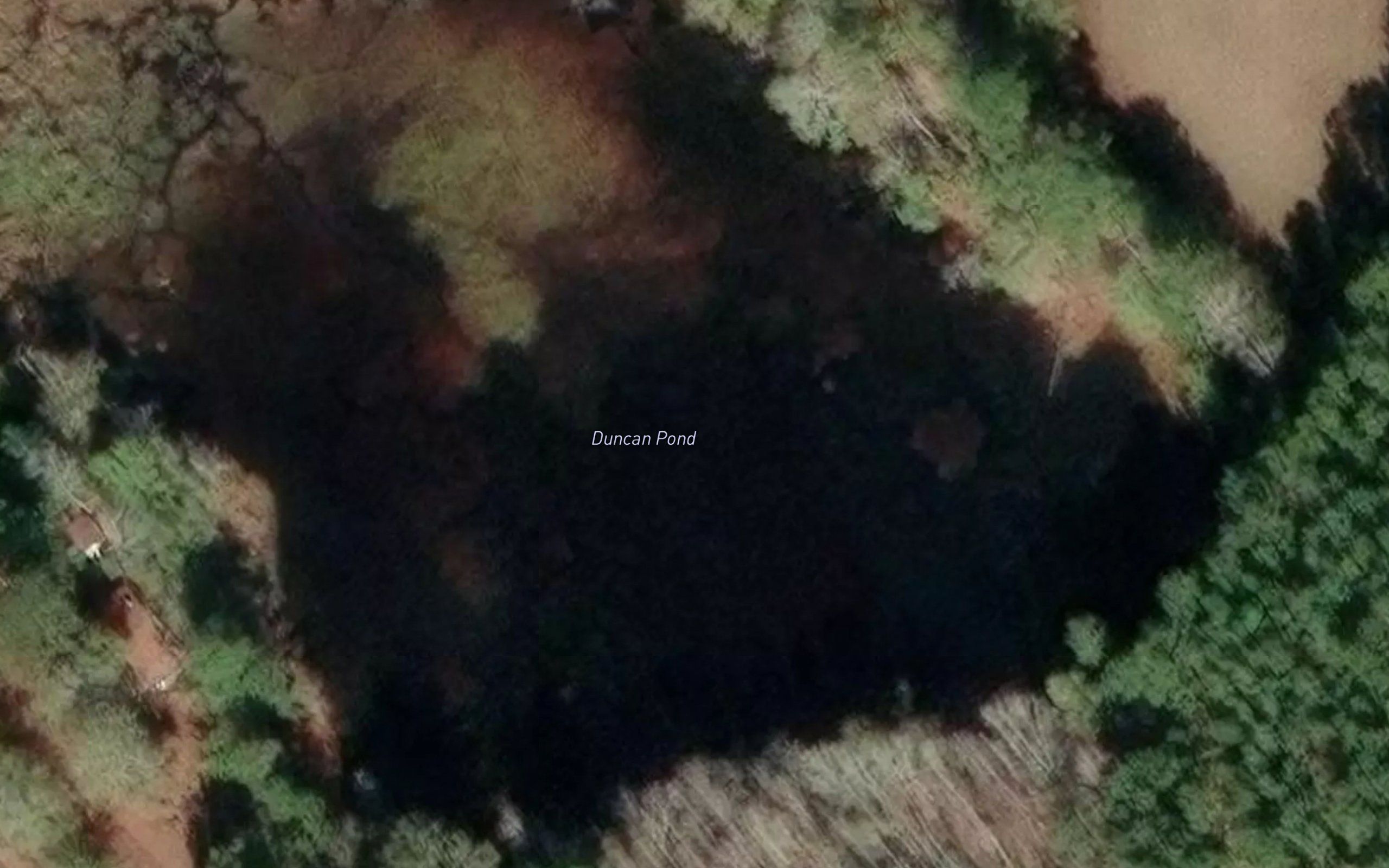 Duncan Pond