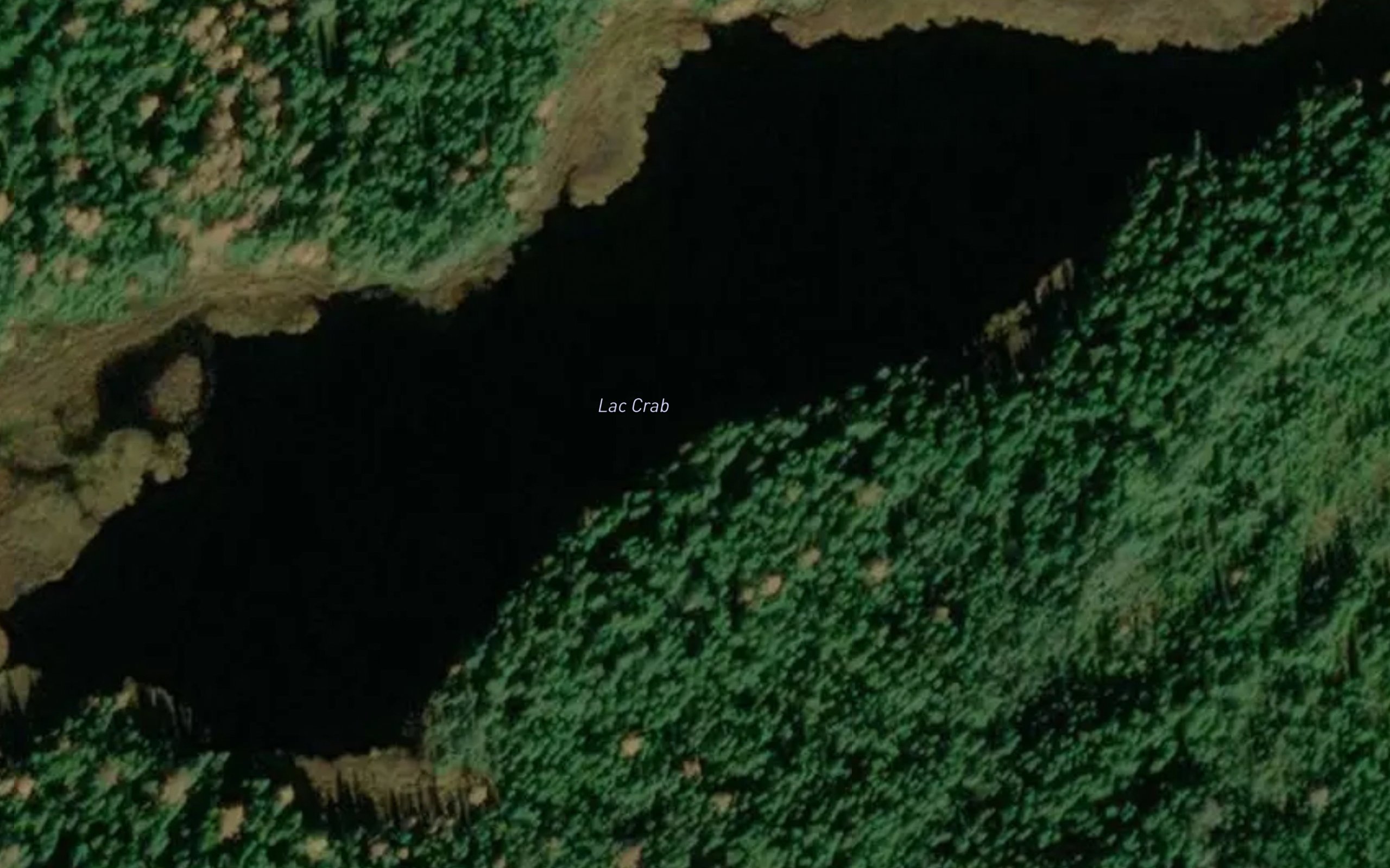 Lac Crab