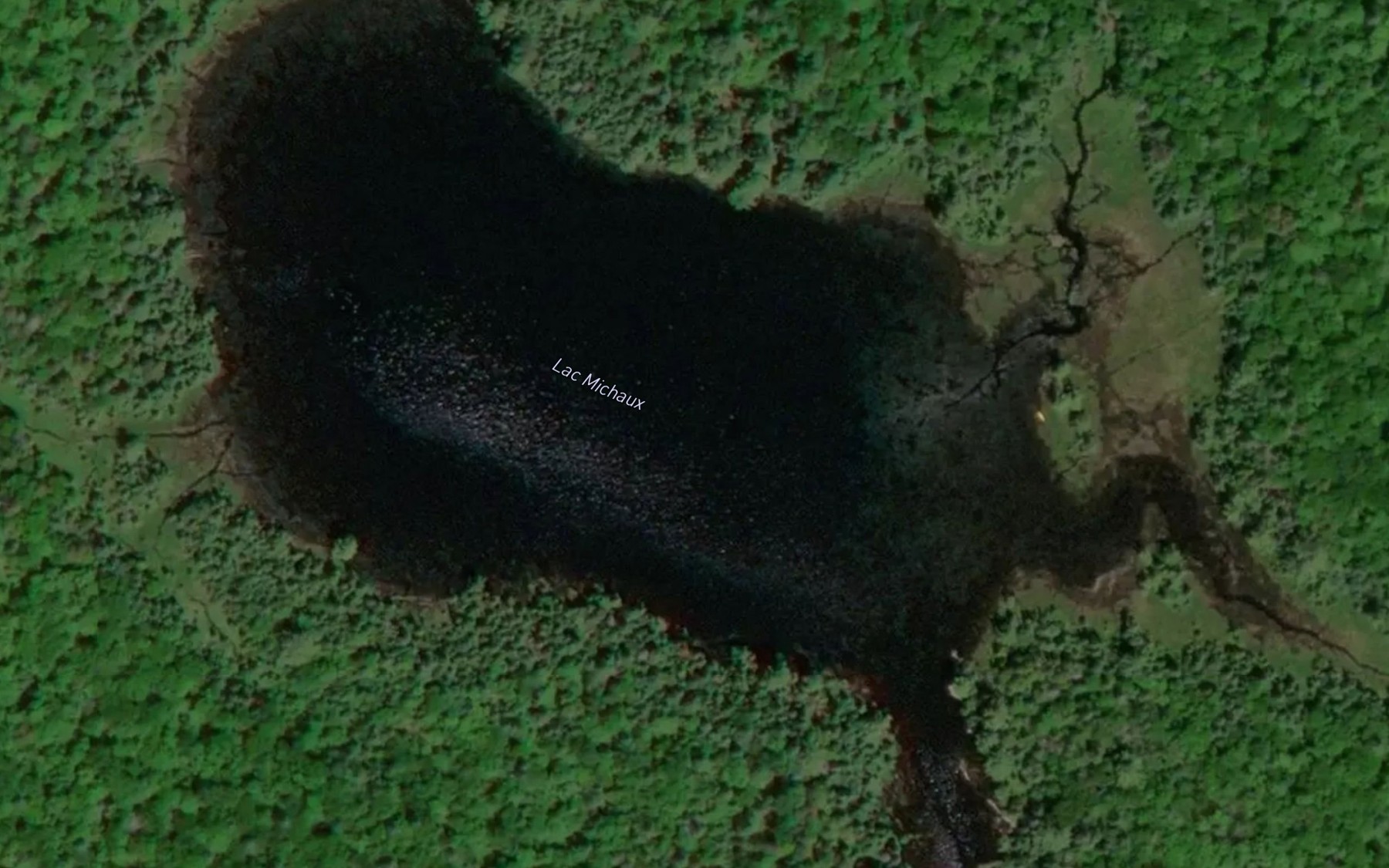 Satellite map of the Lac Michaux