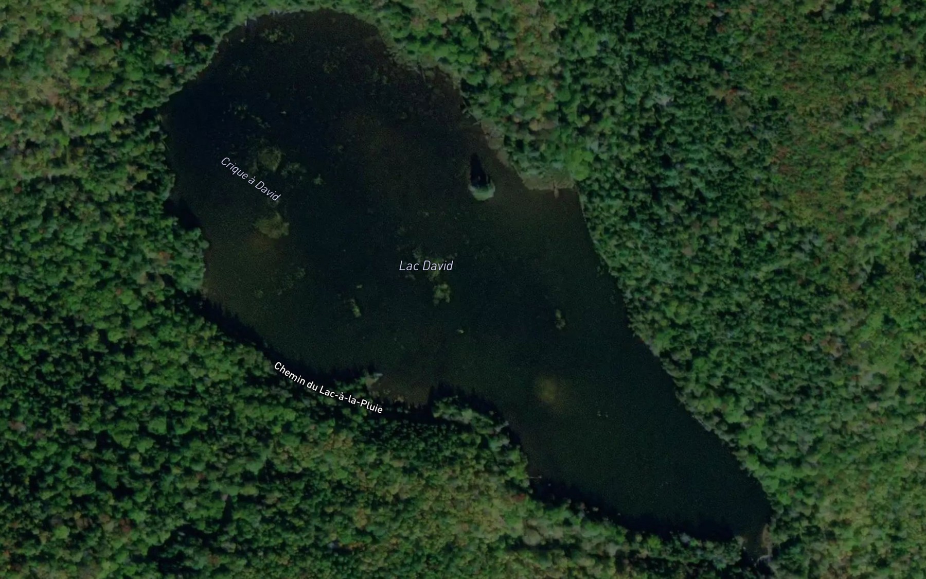 Satellite map of the Lac David